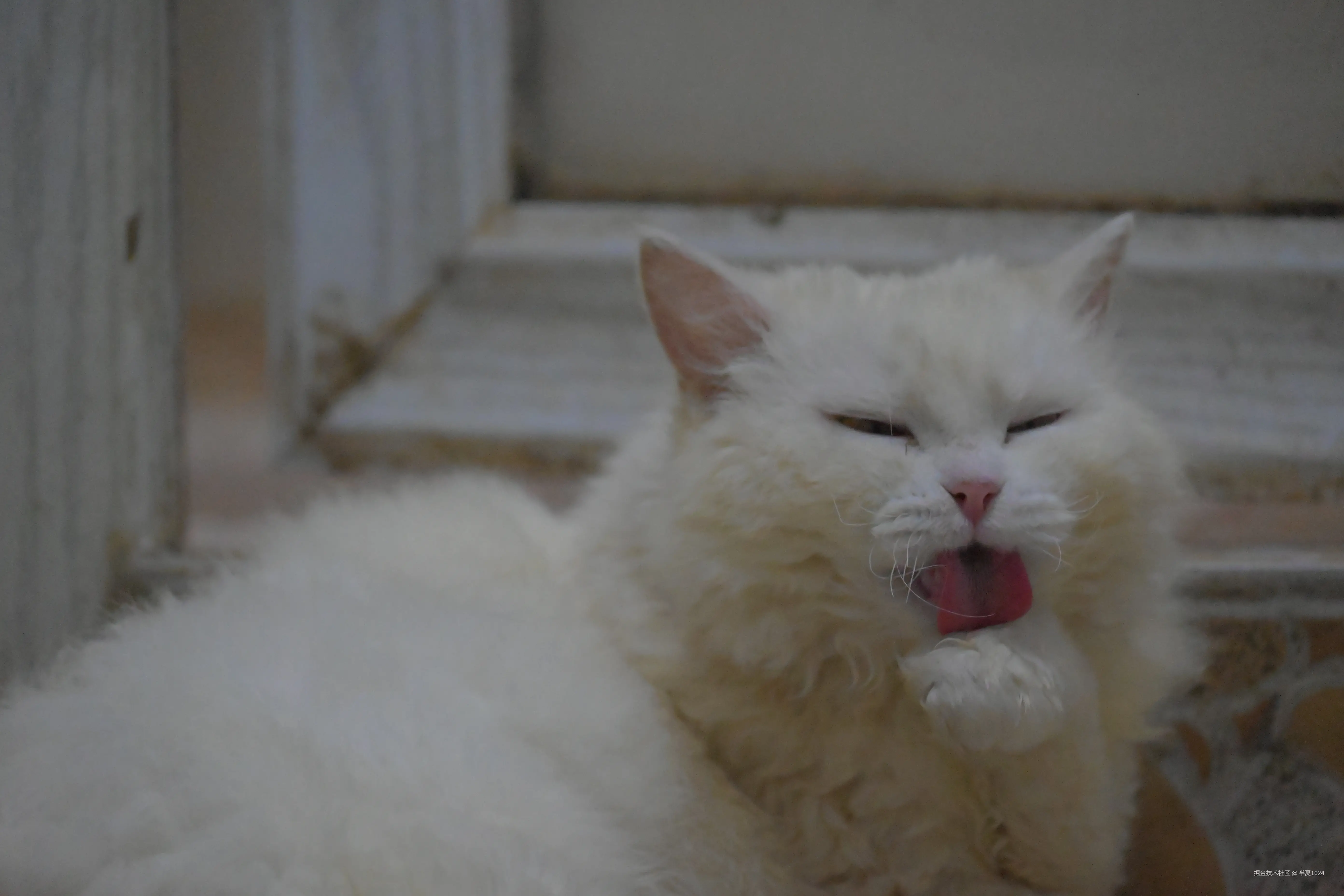 半夏1024于2025-09-15 09:23发布的图片