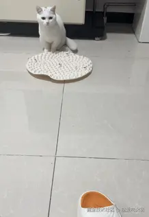 就爱吃火锅于2025-07-04 03:37发布的图片