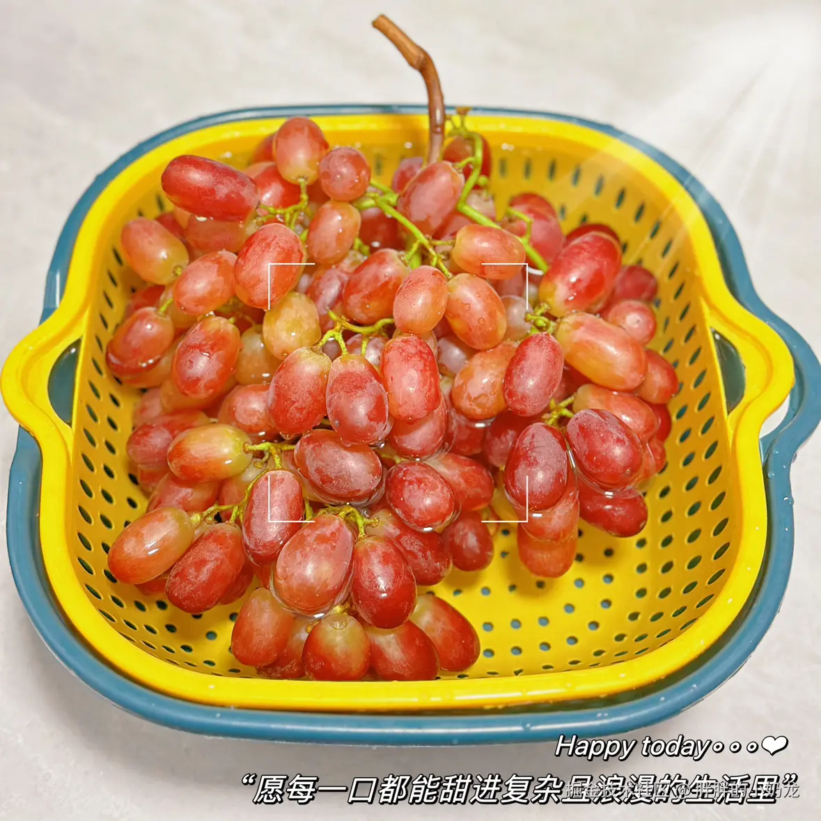 胖胖的小奶龙于2024-11-04 01:55发布的图片