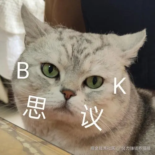 努力赚钱养猫猫于2026-03-16 15:44发布的图片