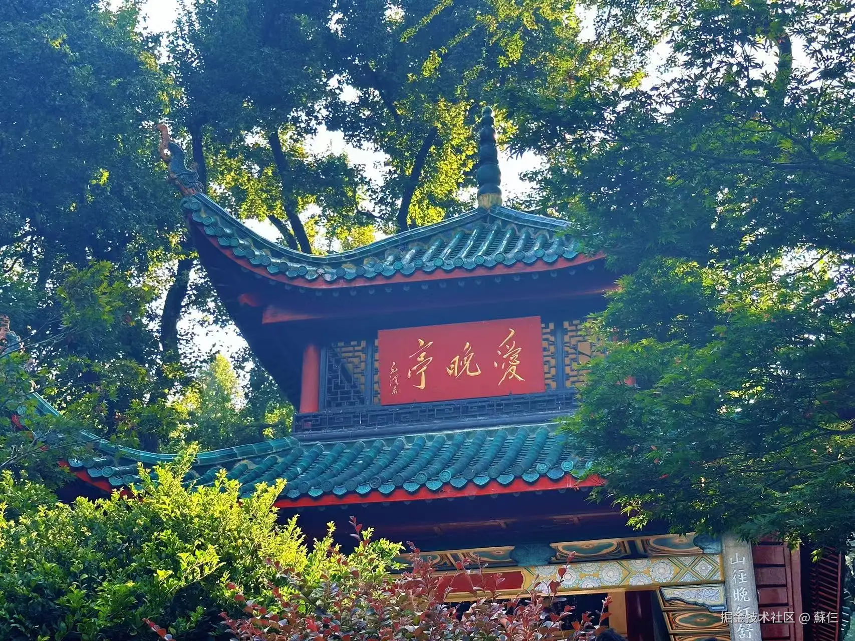 蘇仨于2025-08-18 09:39发布的图片