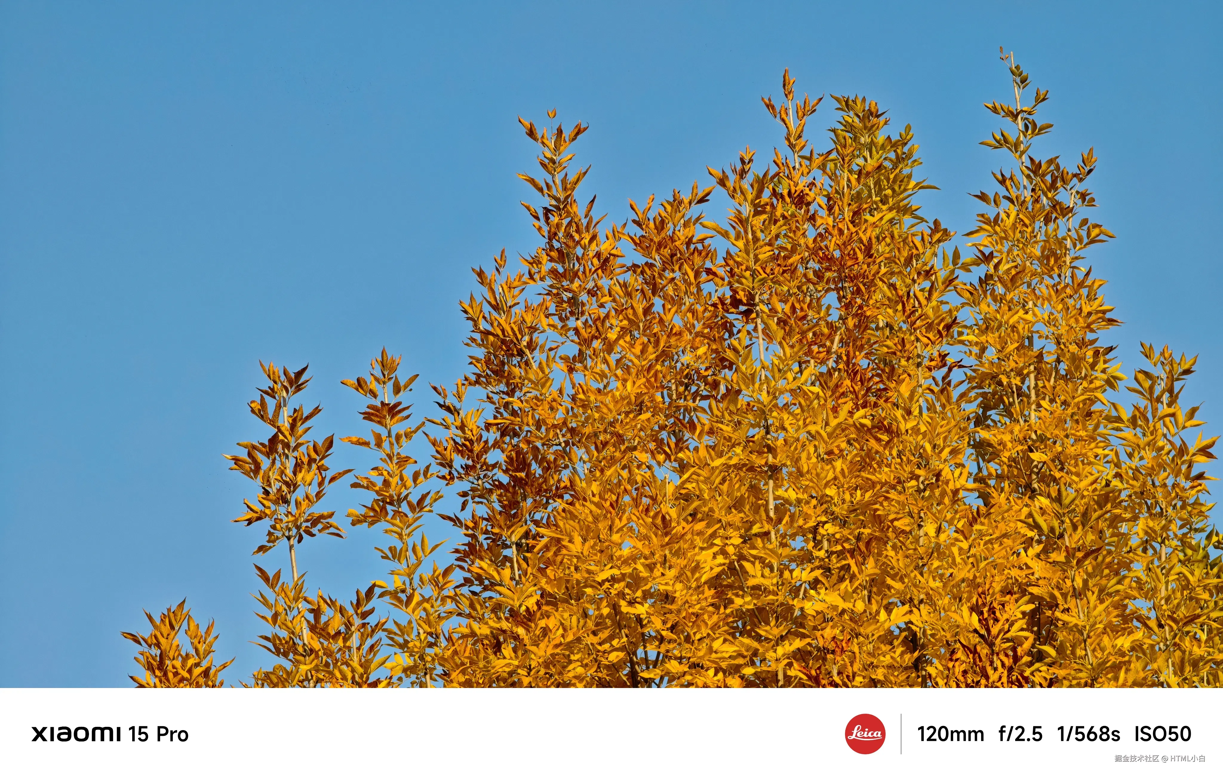 HTML小白于2025-11-03 10:31发布的图片