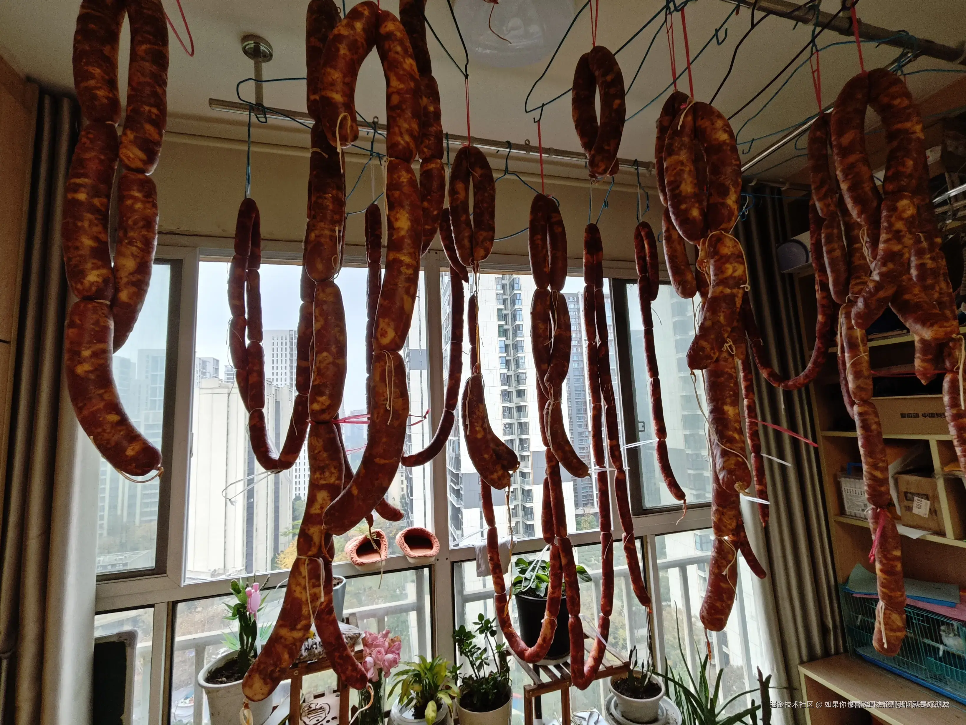 如果你也喜欢周杰伦那我们就是好朋友于2024-12-23 10:38发布的图片