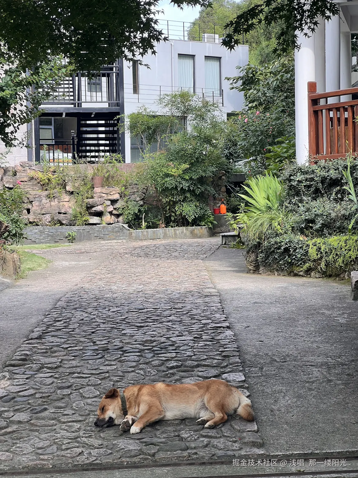 浅唱_那一缕阳光于2026-01-09 10:56发布的图片