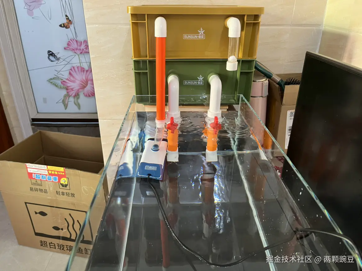 两颗豌豆于2025-06-06 09:08发布的图片