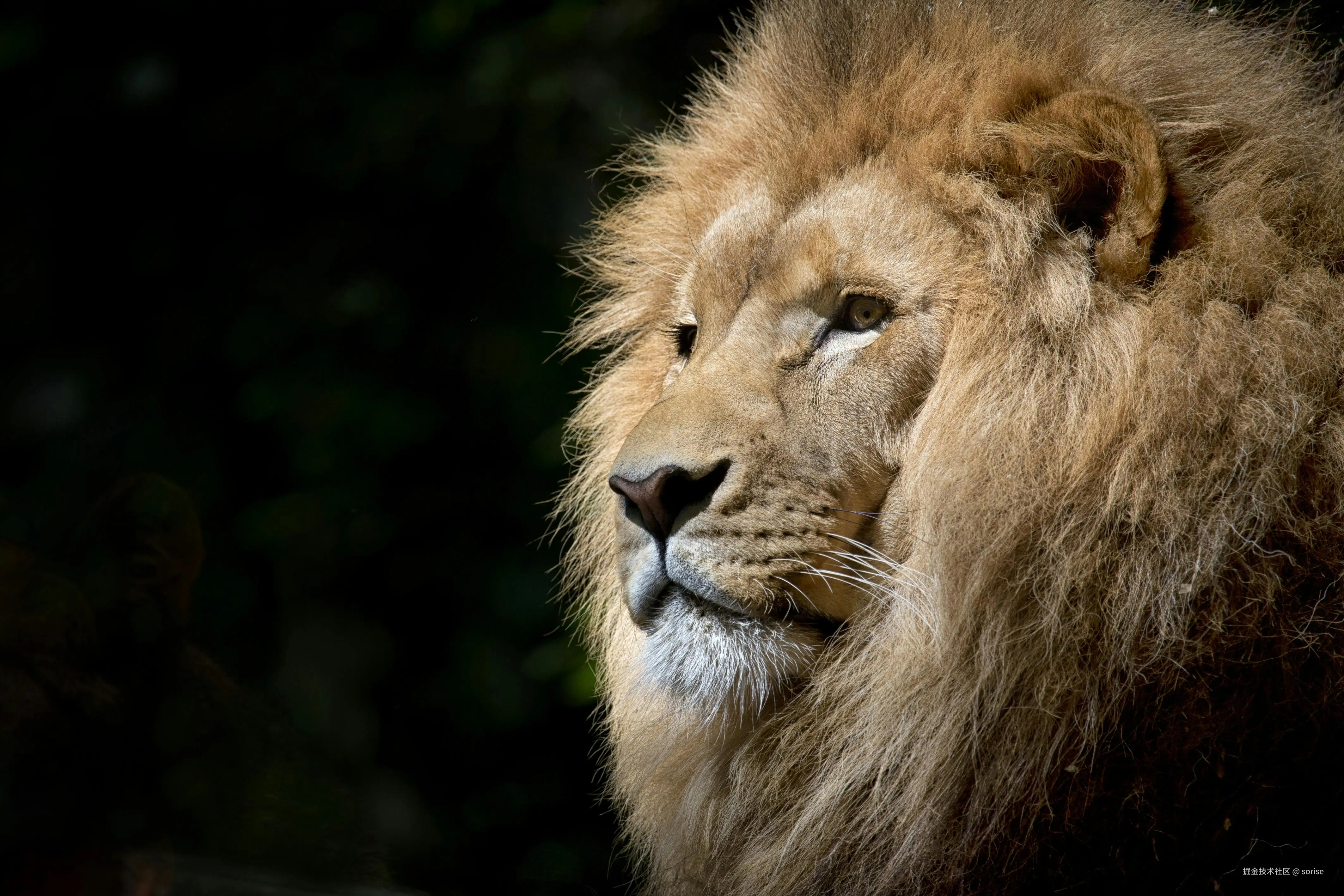 C++ 宏元编程