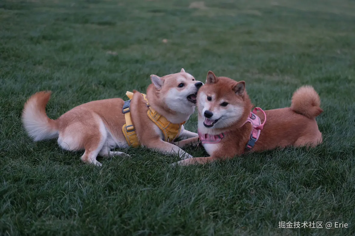 Erie于2024-12-24 10:18发布的图片