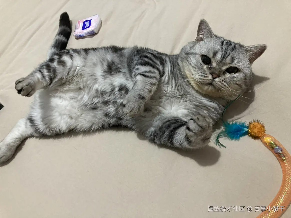 百事小饼干于2025-06-25 08:29发布的图片