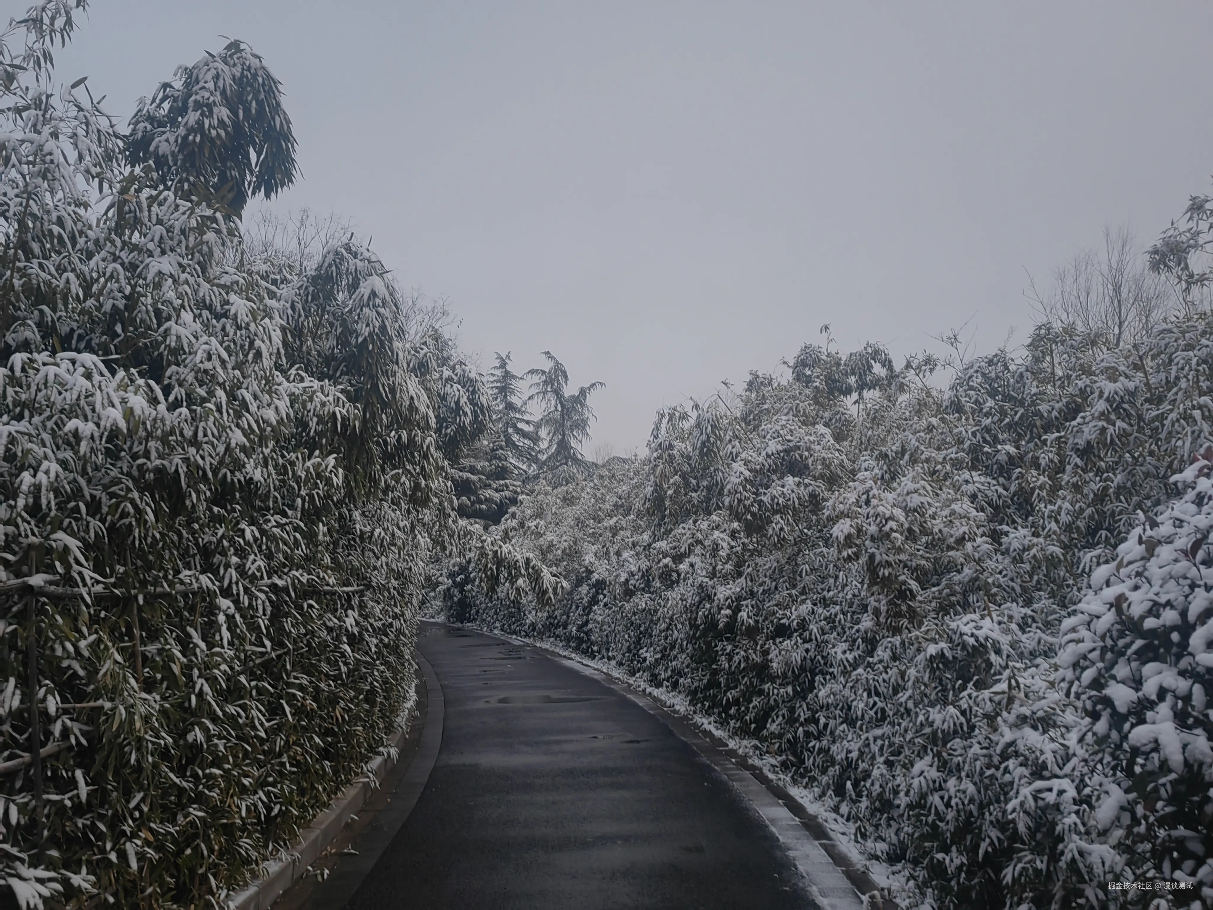 漫谈测试于2026-01-01 08:31发布的图片