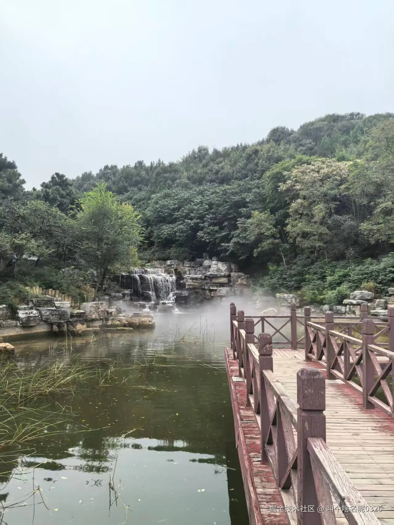 叫个啥名呢0326于2025-09-30 10:10发布的图片