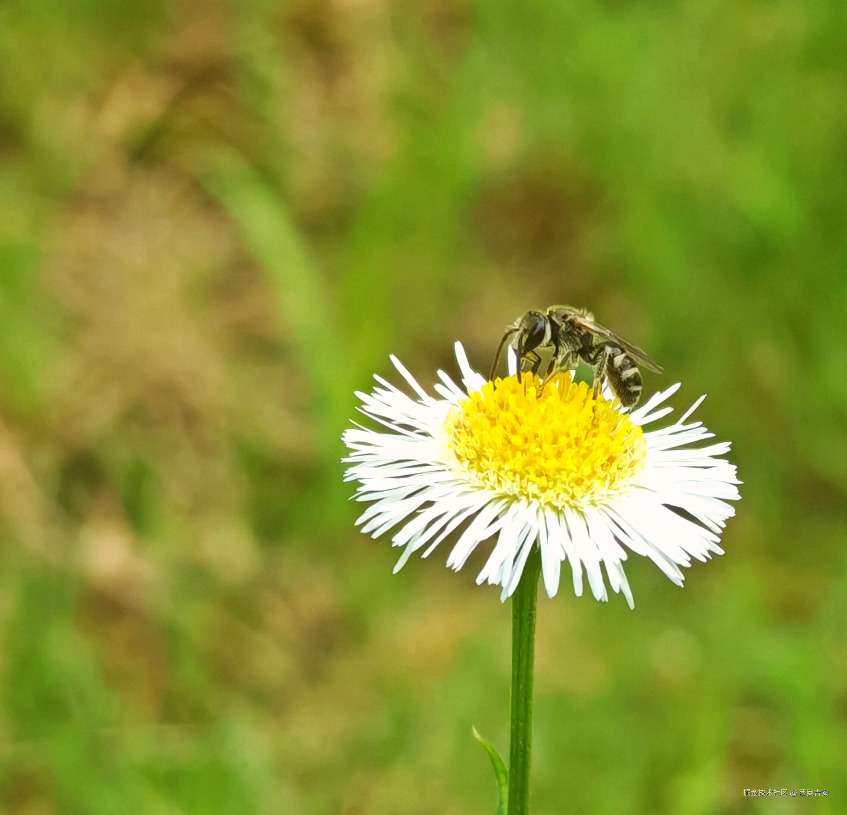 西奥吉安于2025-06-24 12:38发布的图片