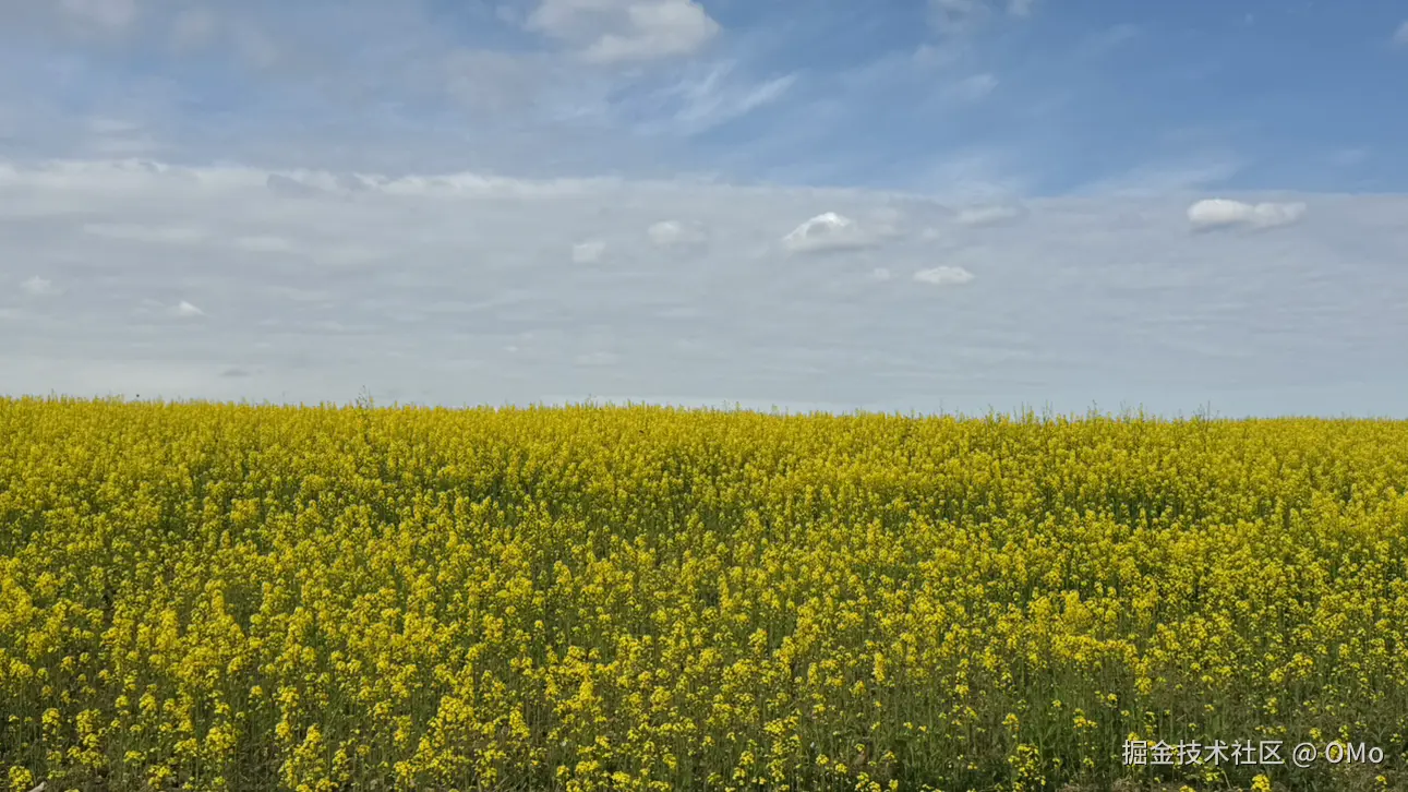 OMo于2026-03-02 13:42发布的图片