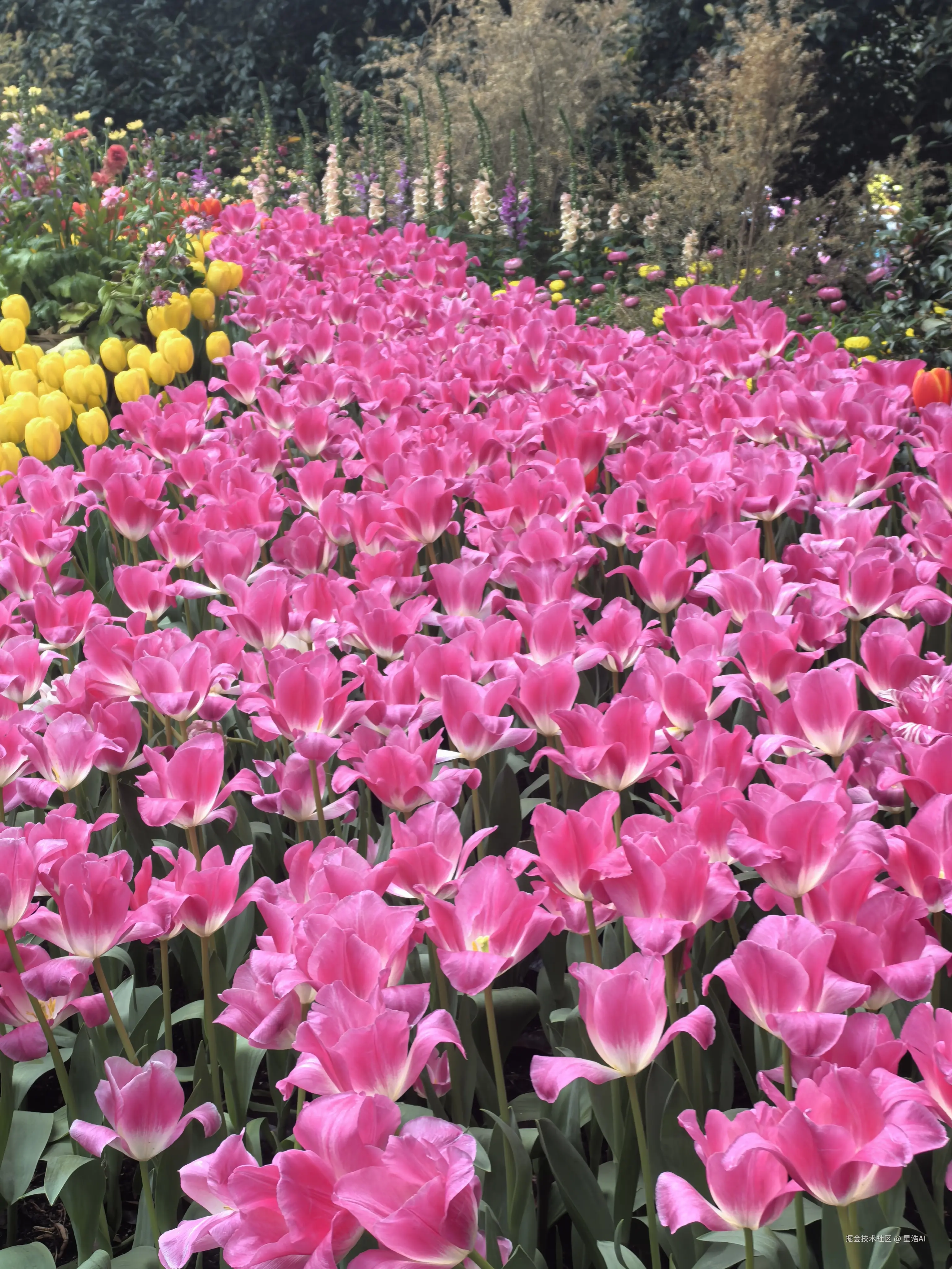 星浩AI于2026-03-22 12:00发布的图片