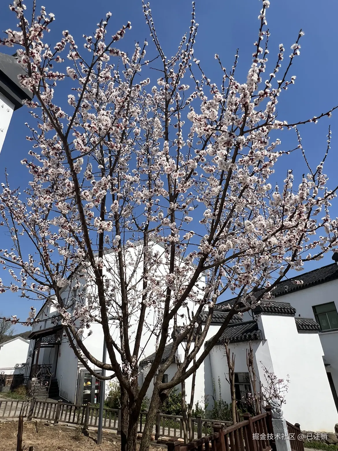 已注销于2025-03-21 16:21发布的图片