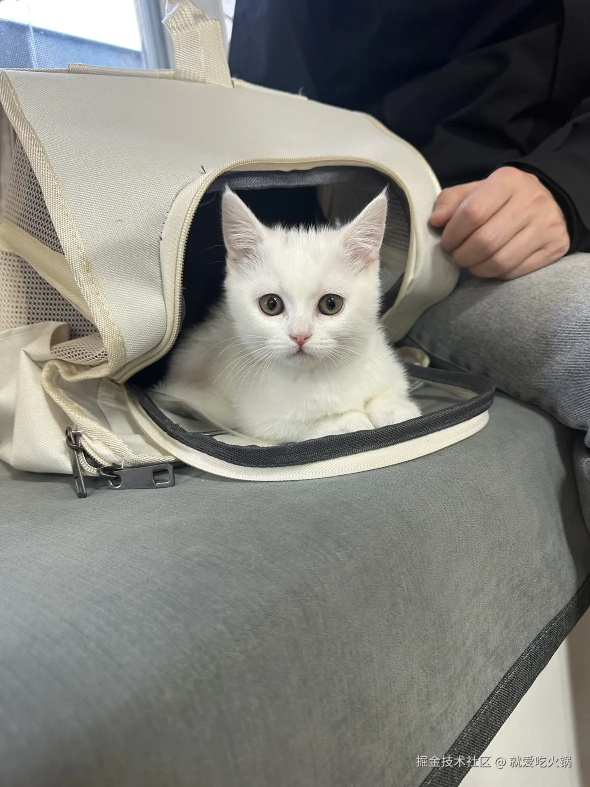 就爱吃火锅于2025-03-17 09:32发布的图片