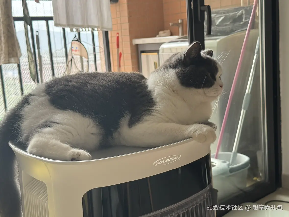 想拿大礼包于2025-07-14 14:13发布的图片