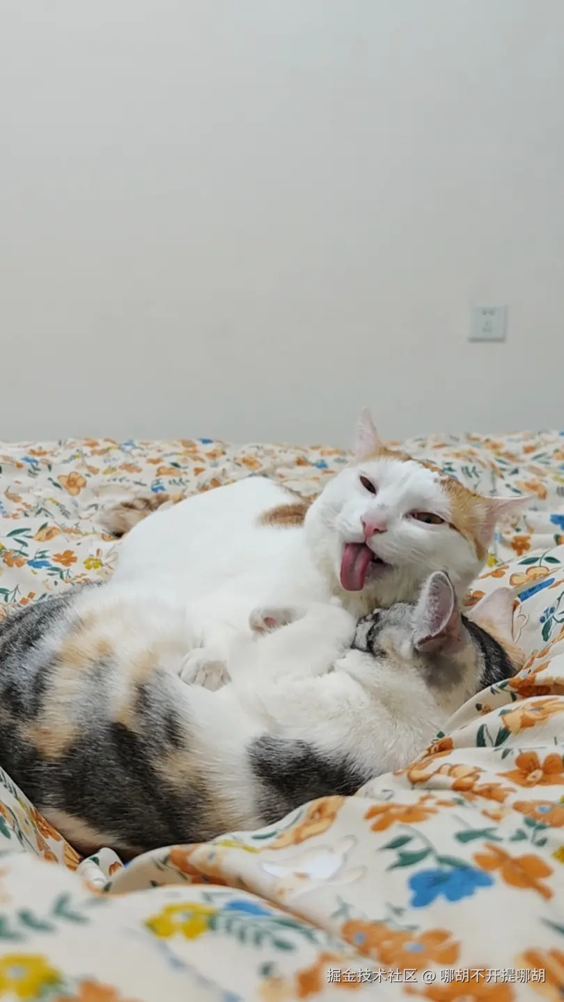 哪胡不开提哪胡于2025-04-18 01:45发布的图片