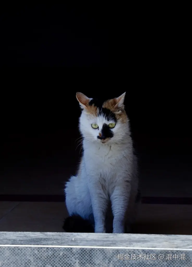 混中混于2025-05-26 15:32发布的图片