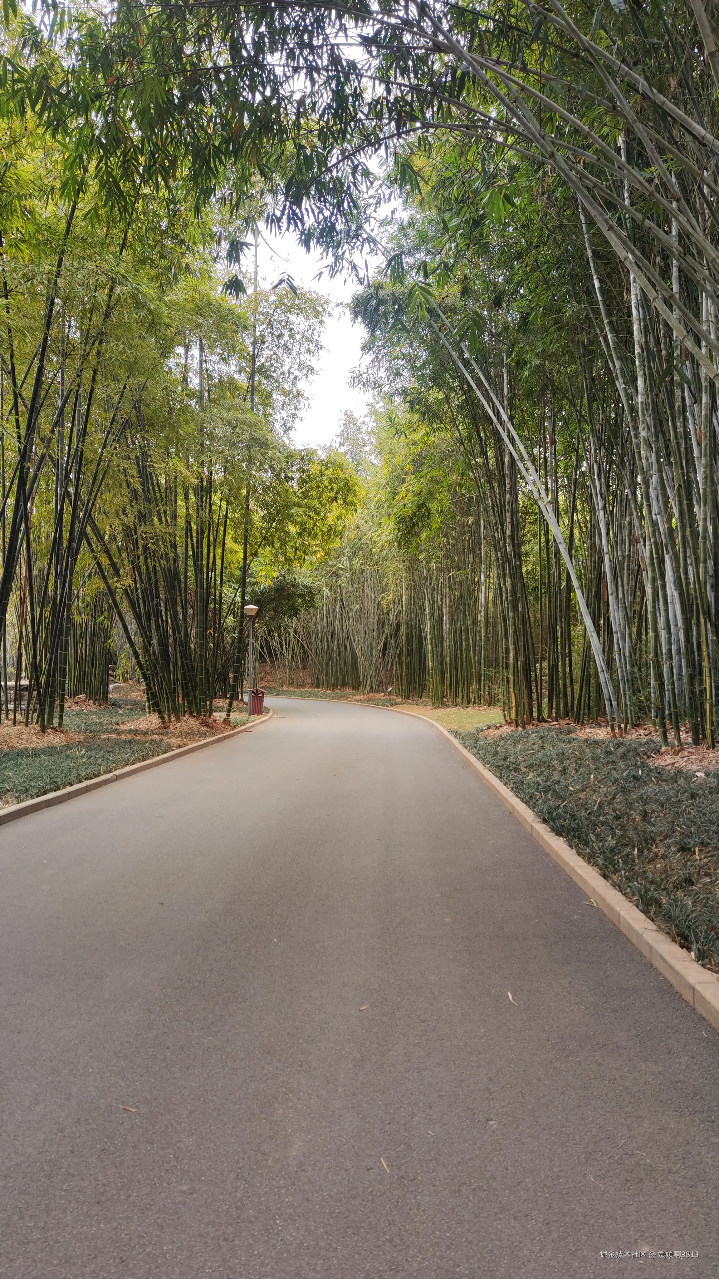 媛媛啊9813于2025-03-09 01:49发布的图片