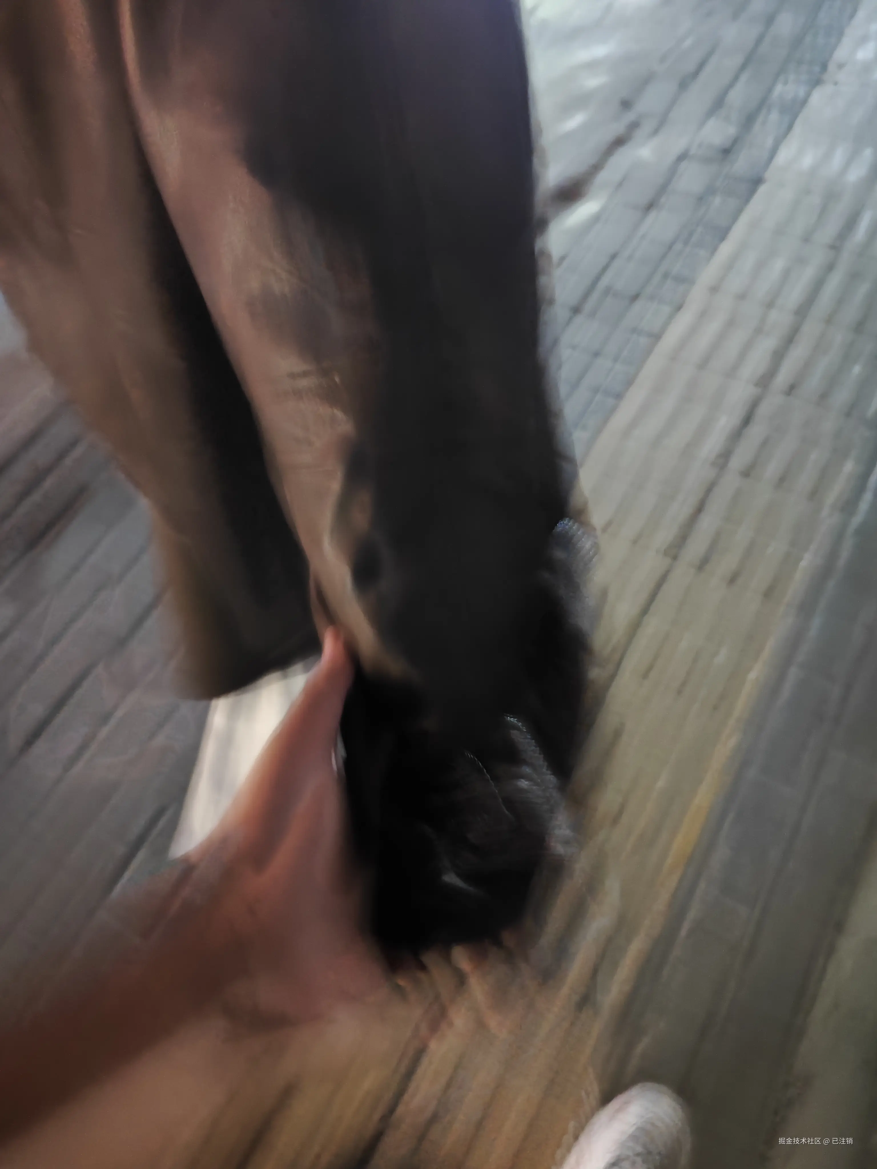 已注销于2025-03-22 21:42发布的图片