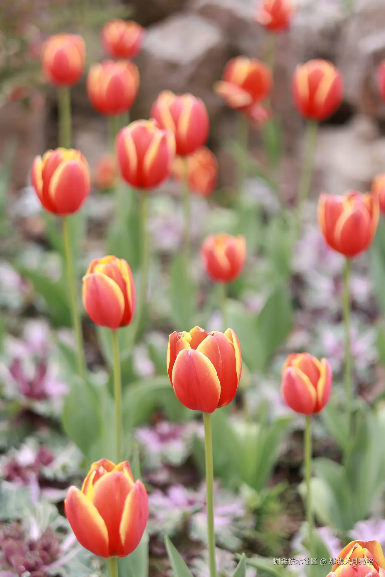 那我关月亮咯于2025-03-31 14:28发布的图片