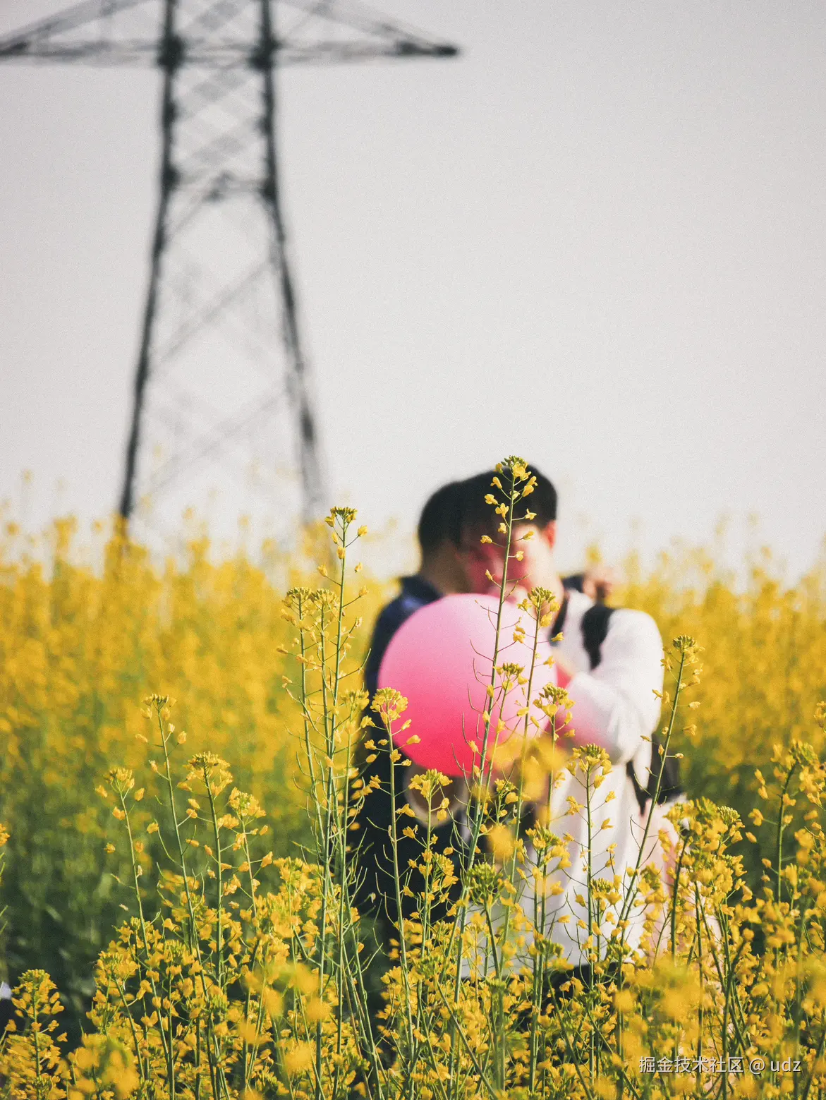 udz于2025-01-20 14:43发布的图片