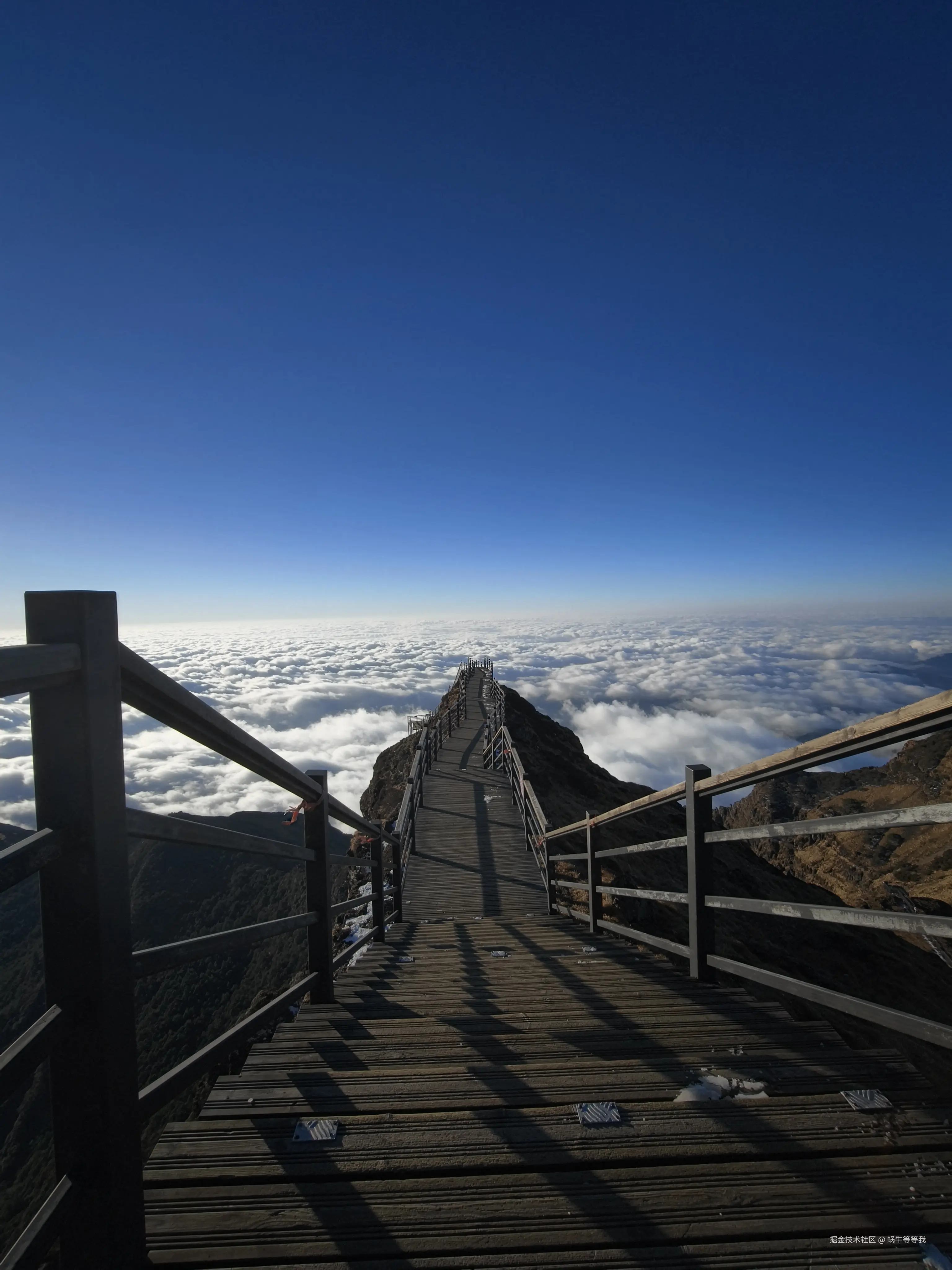 蜗牛等等我于2026-01-09 10:39发布的图片