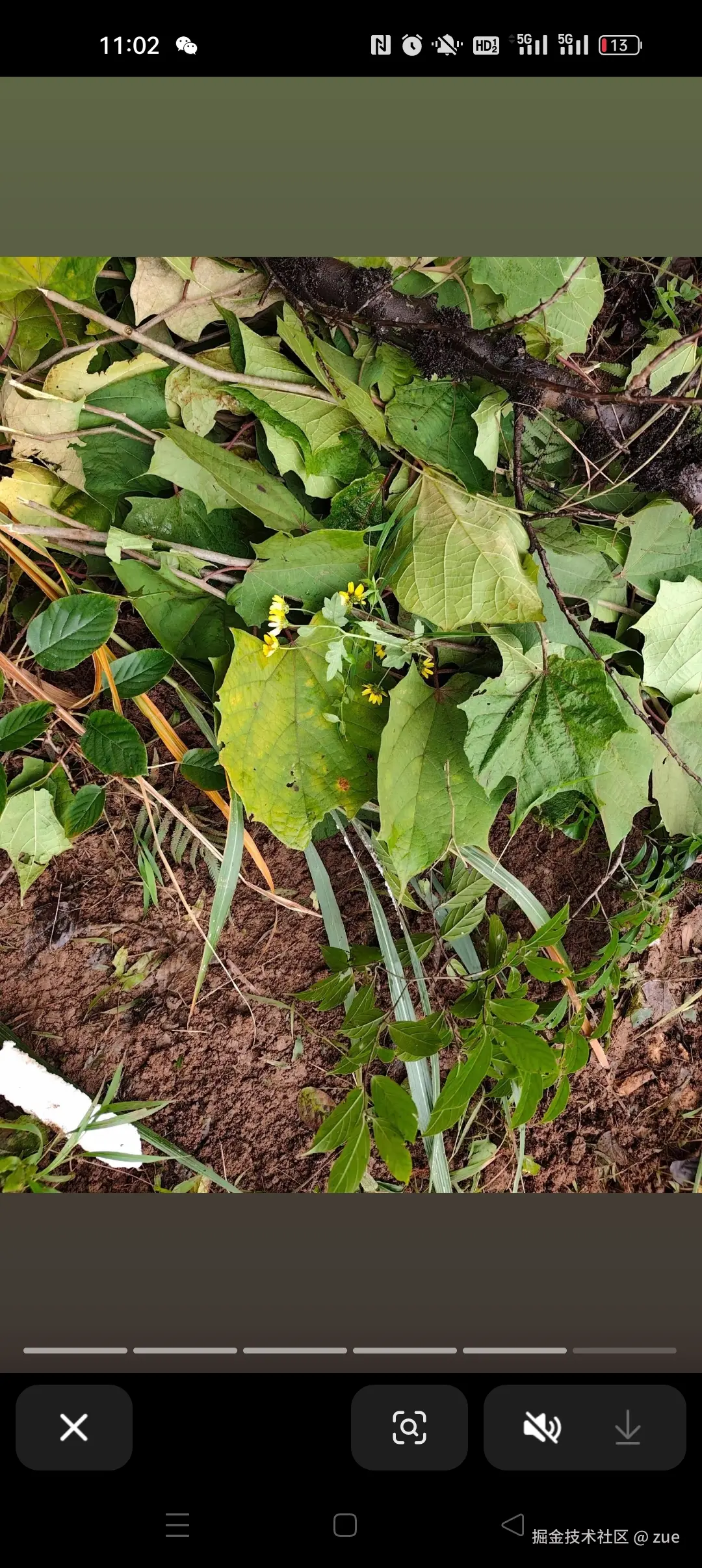 zue于2025-11-10 11:29发布的图片