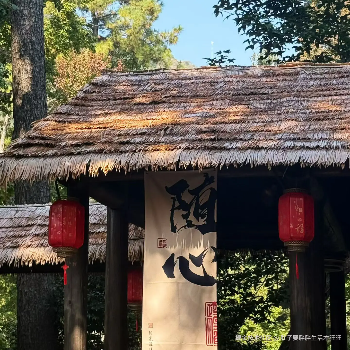 肚子要胖胖生活才旺旺于2025-11-16 00:20发布的图片