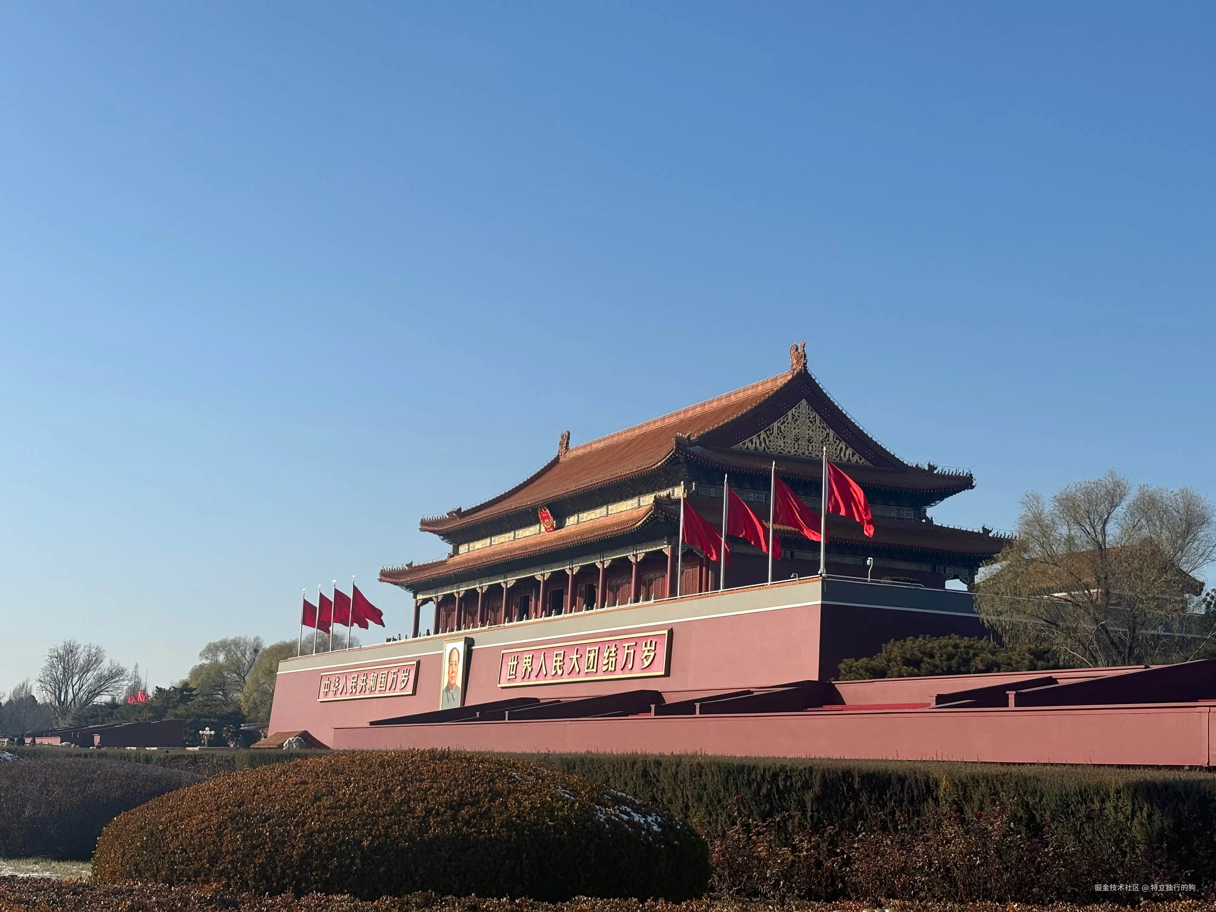 特立独行的狗于2025-12-18 13:44发布的图片