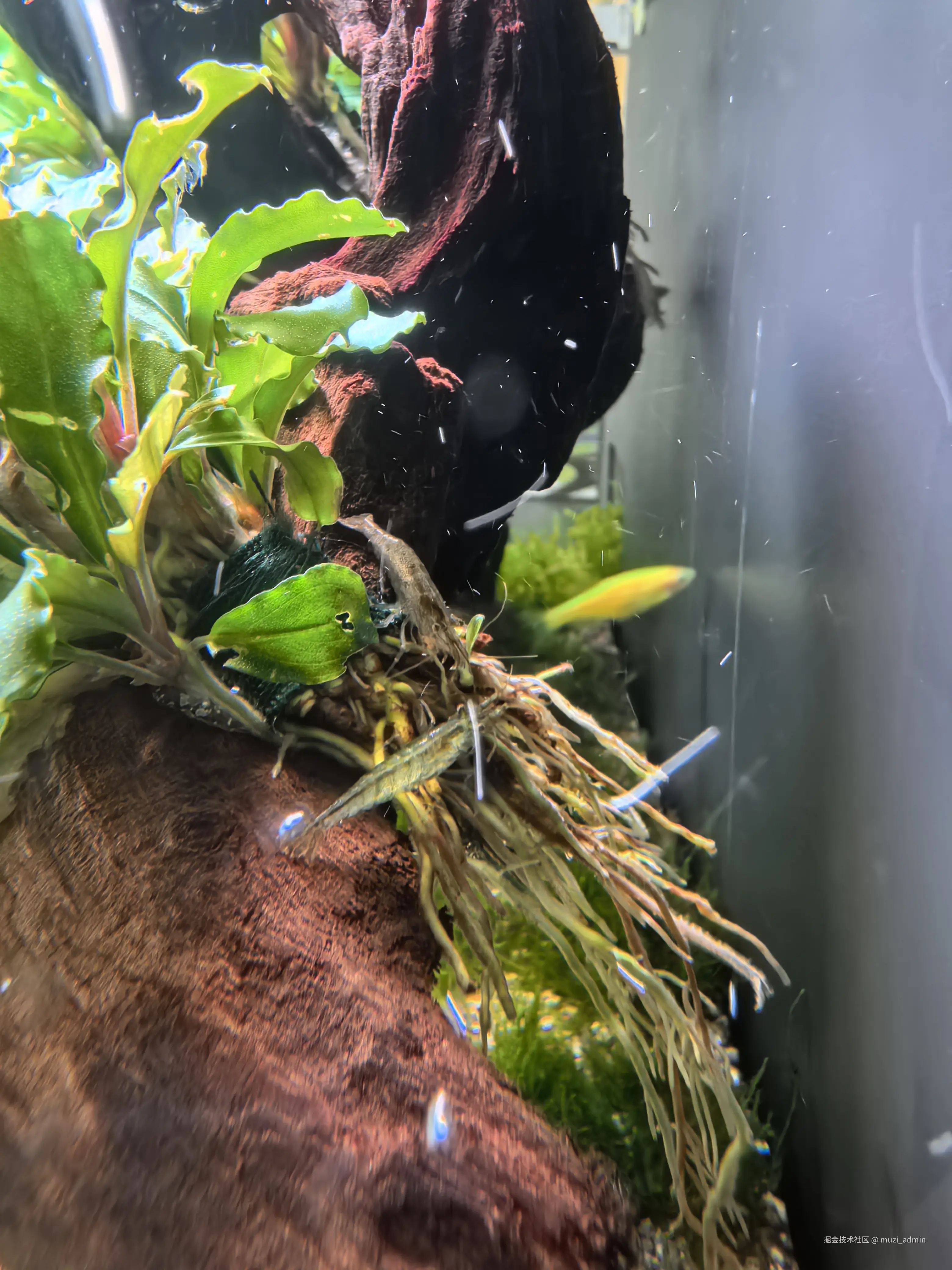 muzi_admin于2026-04-18 15:15发布的图片