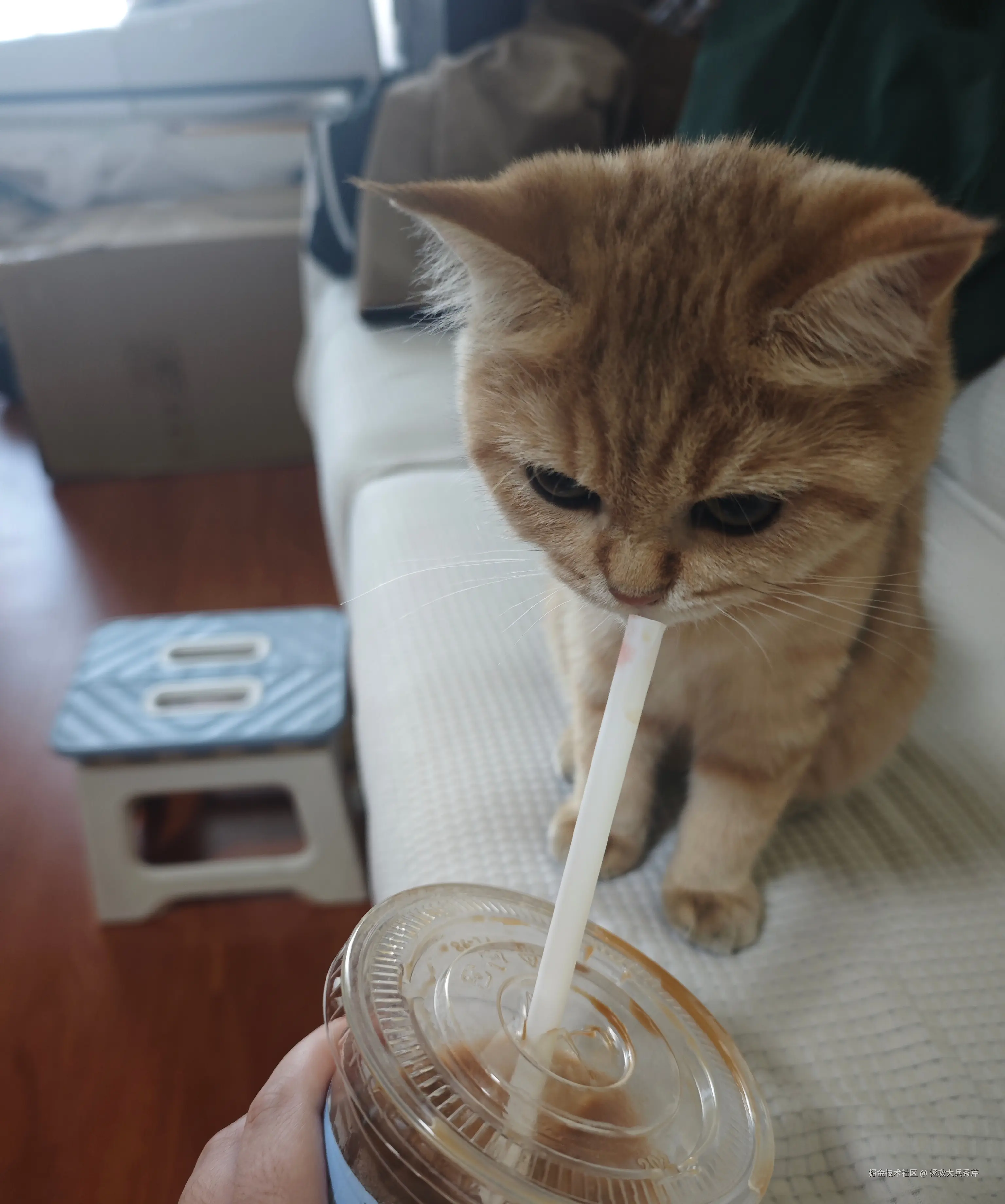 拯救大兵秀芹于2024-11-22 11:46发布的图片