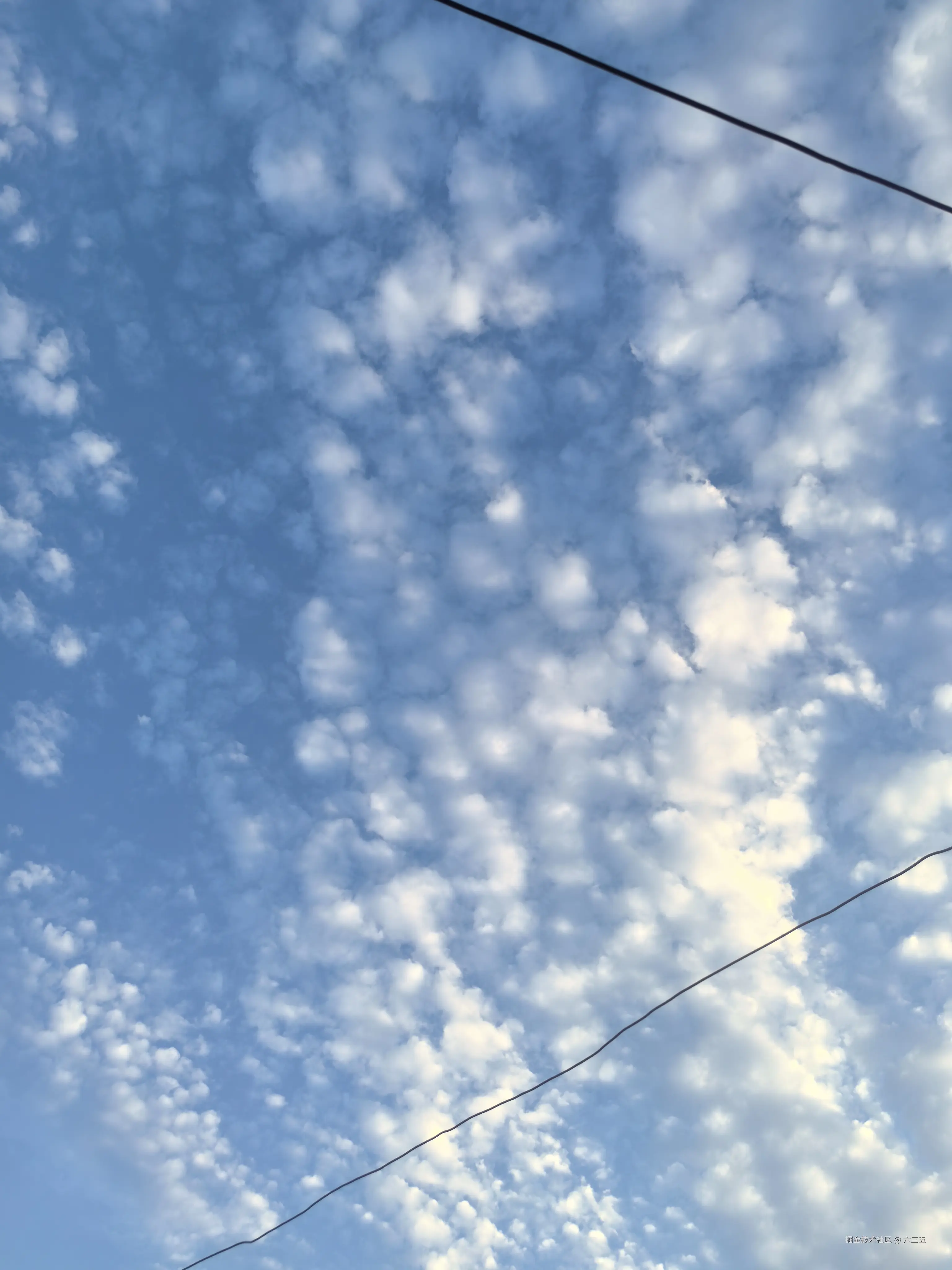 六三五于2024-07-28 18:58发布的图片