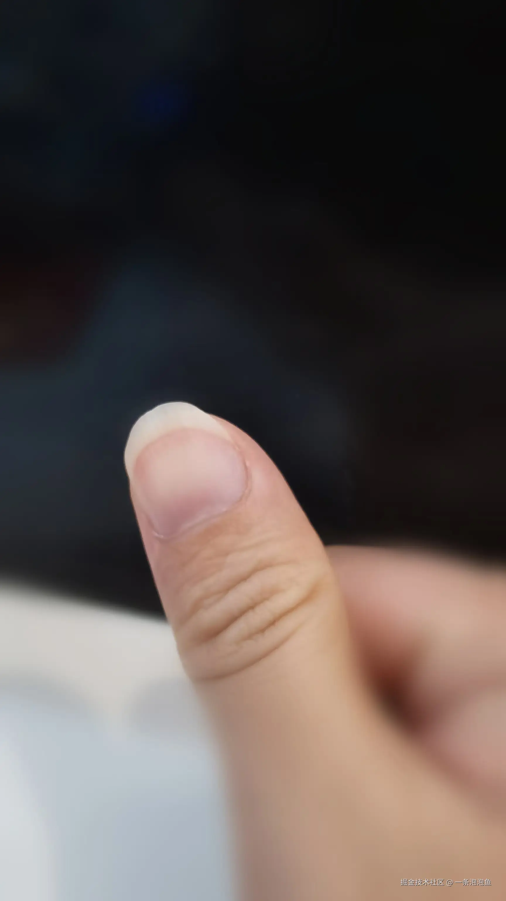 一条泡泡鱼于2024-11-20 14:54发布的图片