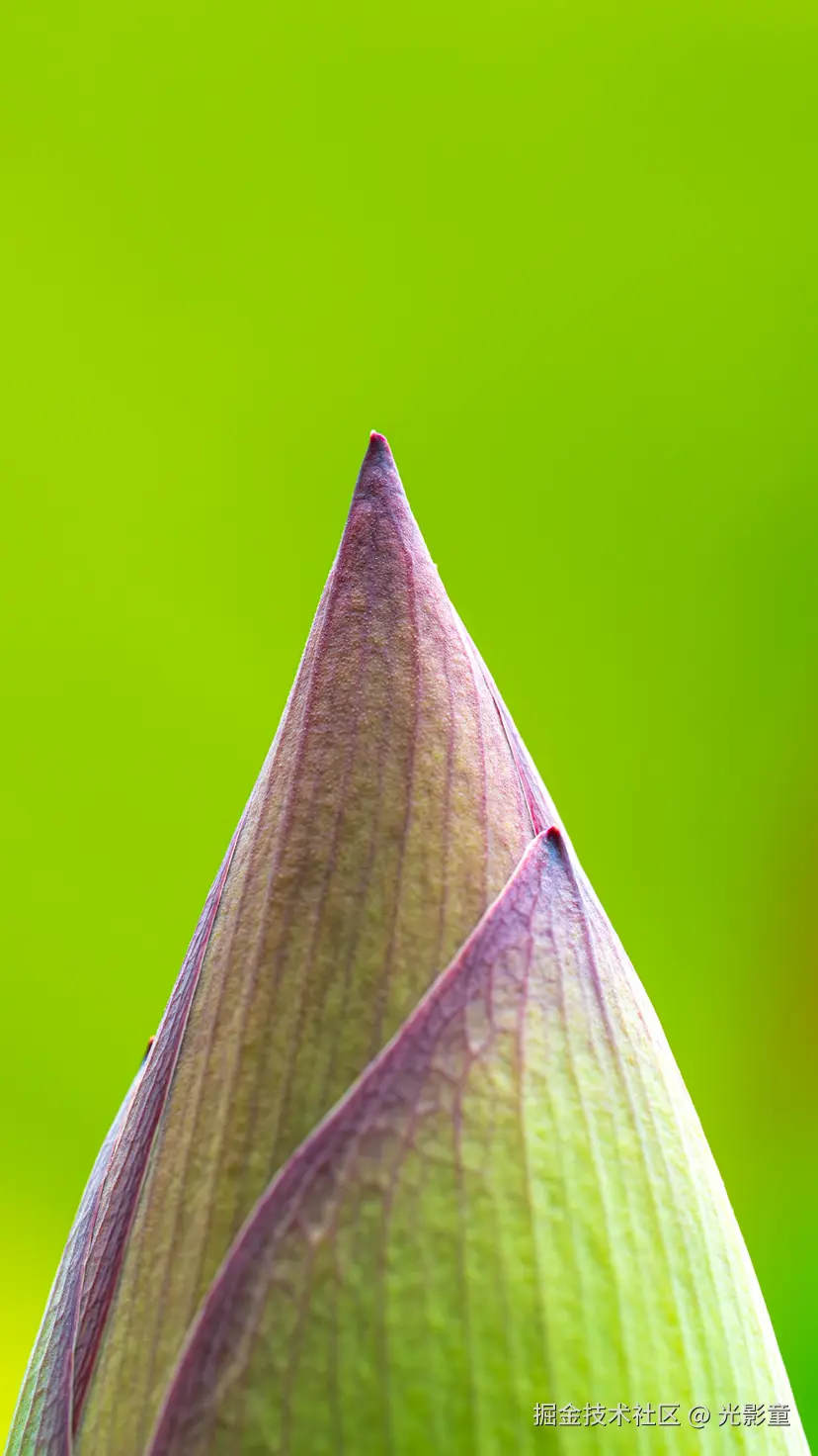 光影童于2025-08-05 08:23发布的图片