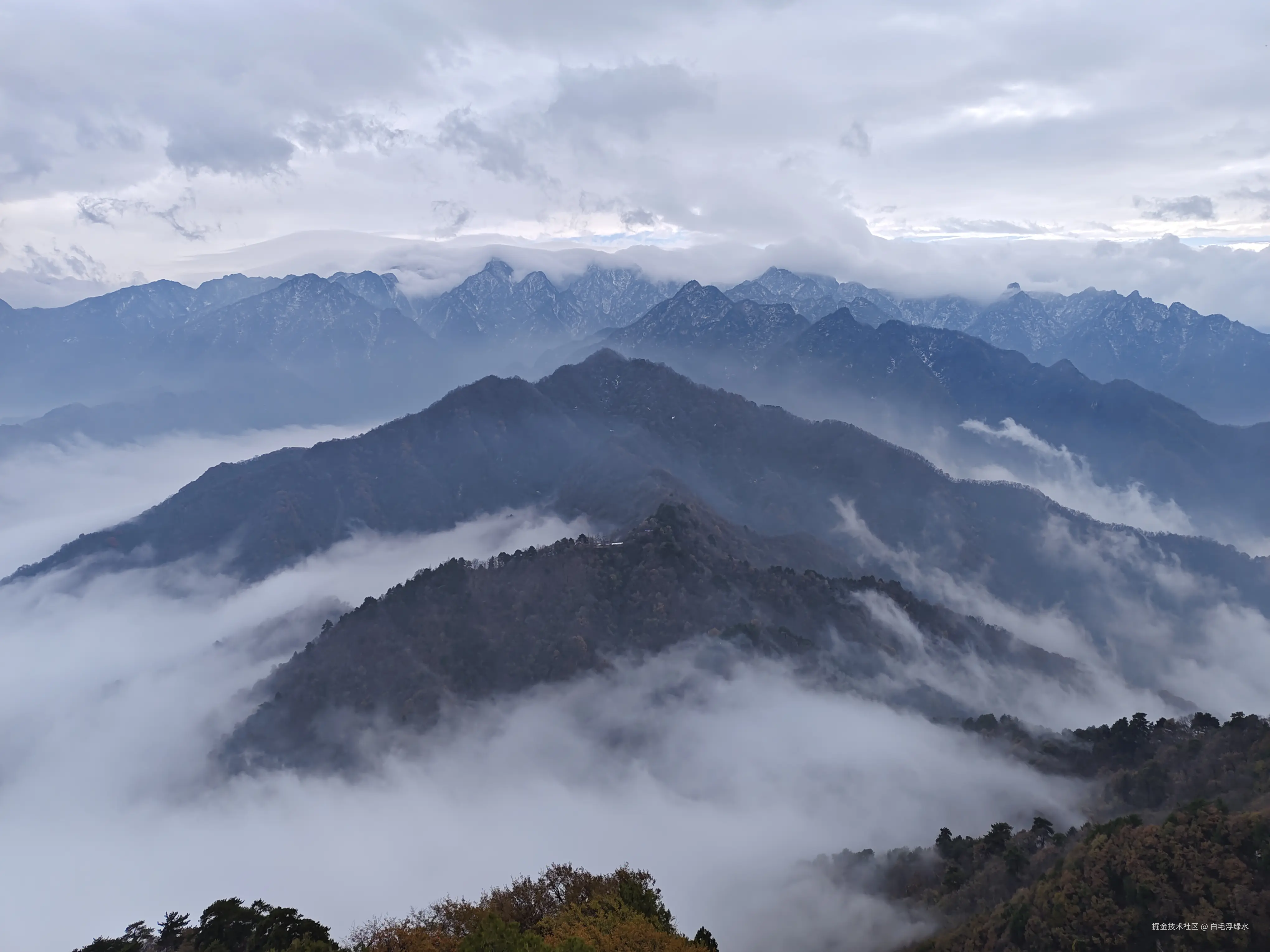 白毛浮绿水于2024-11-25 11:13发布的图片