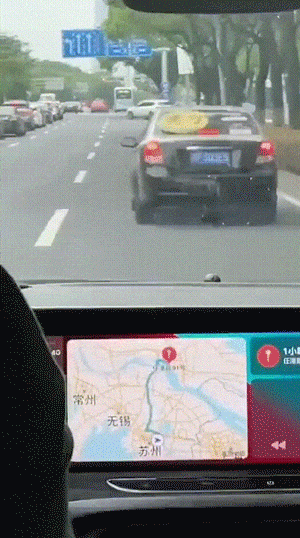 德育处主任于2024-09-20 17:19发布的图片