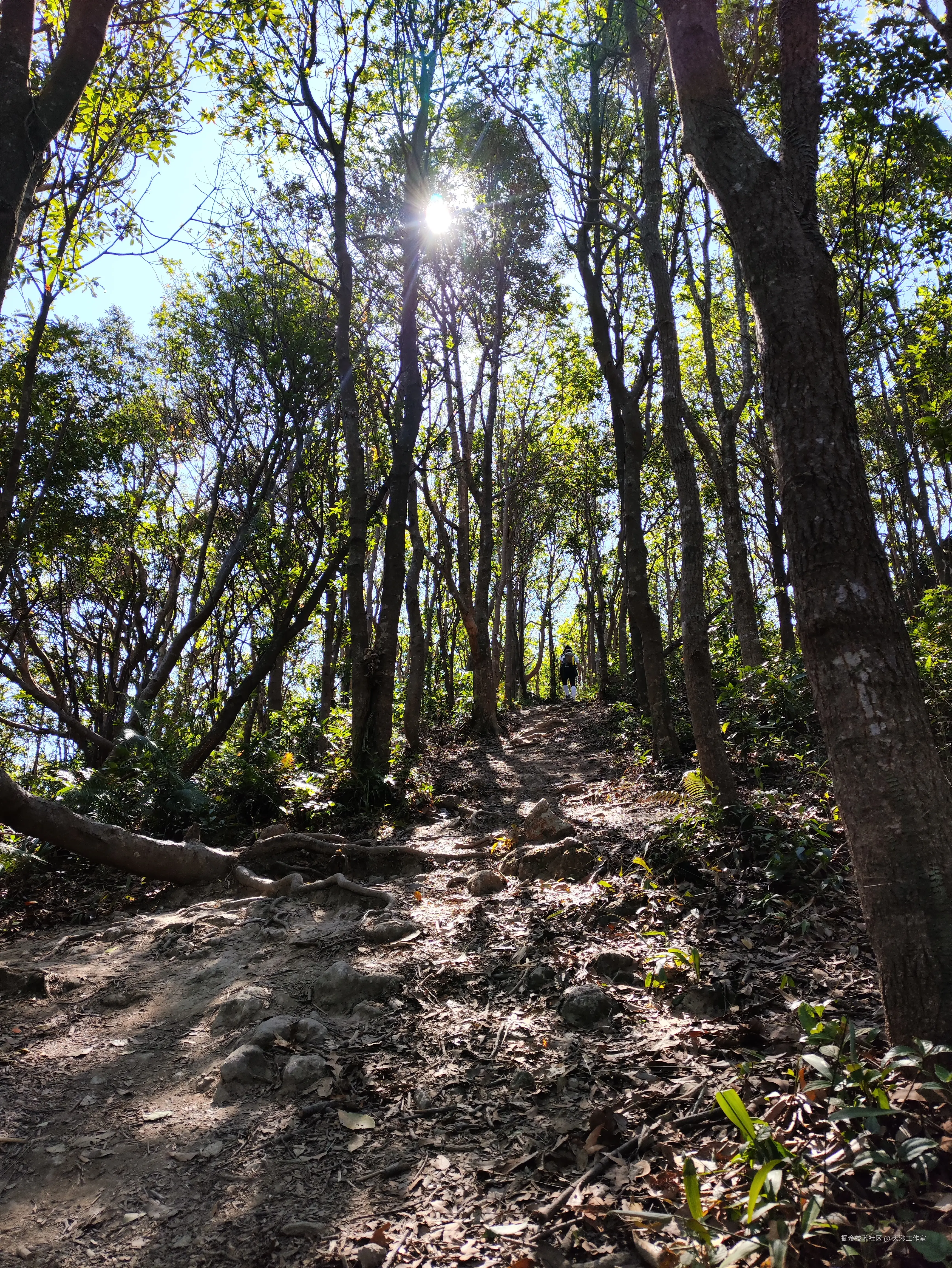 天渺工作室于2025-11-24 12:40发布的图片