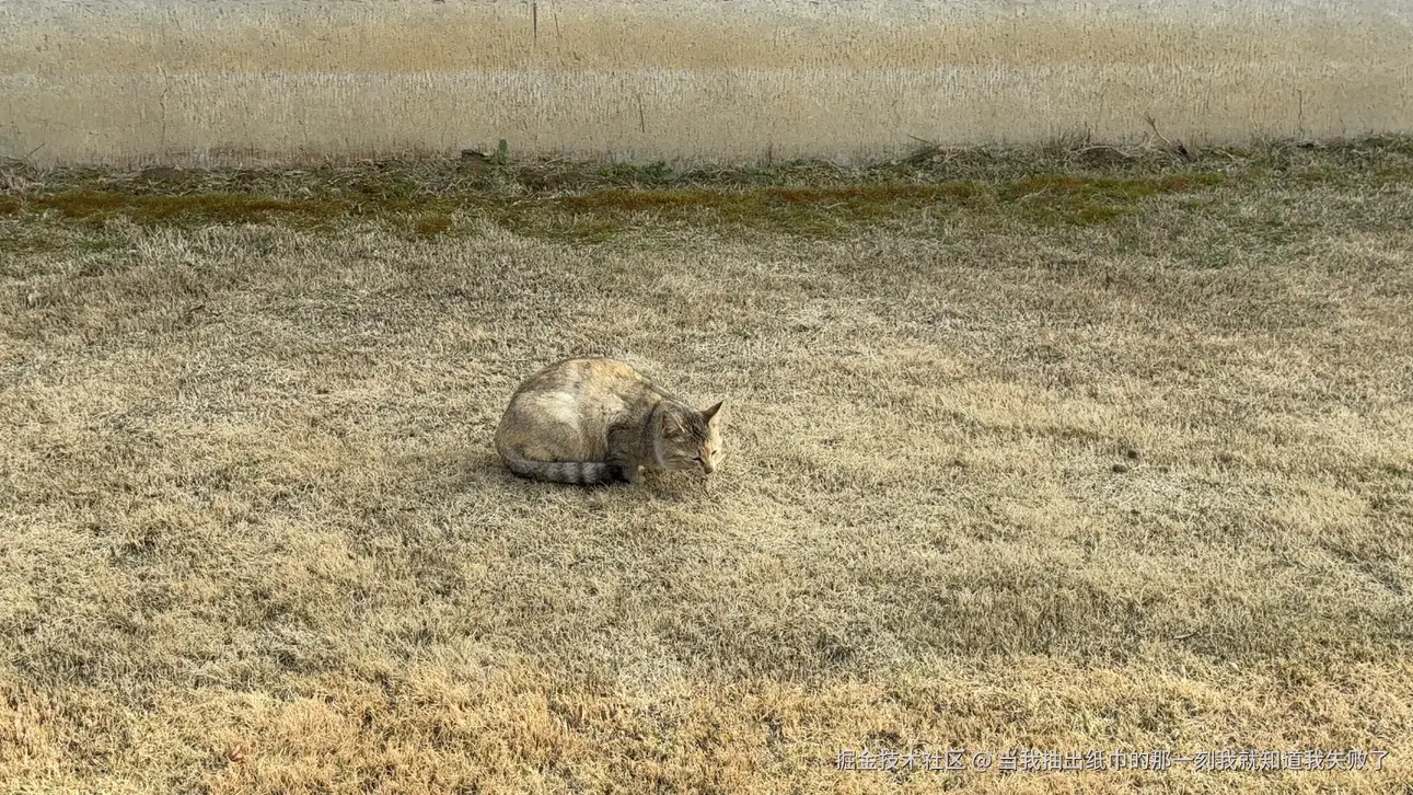 当我抽出纸巾的那一刻我就知道我失败了于2025-03-10 20:37发布的图片