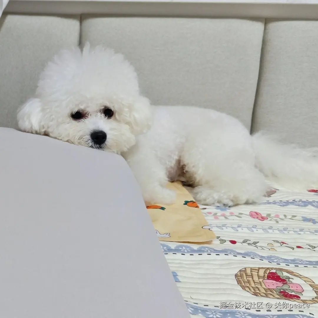 关你peace于2024-10-18 10:20发布的图片