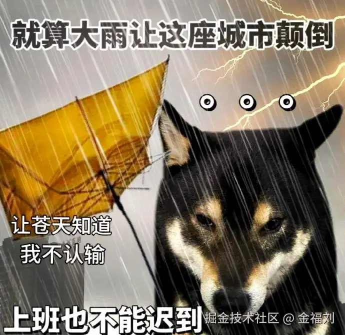 金福刘于2025-06-17 09:31发布的图片