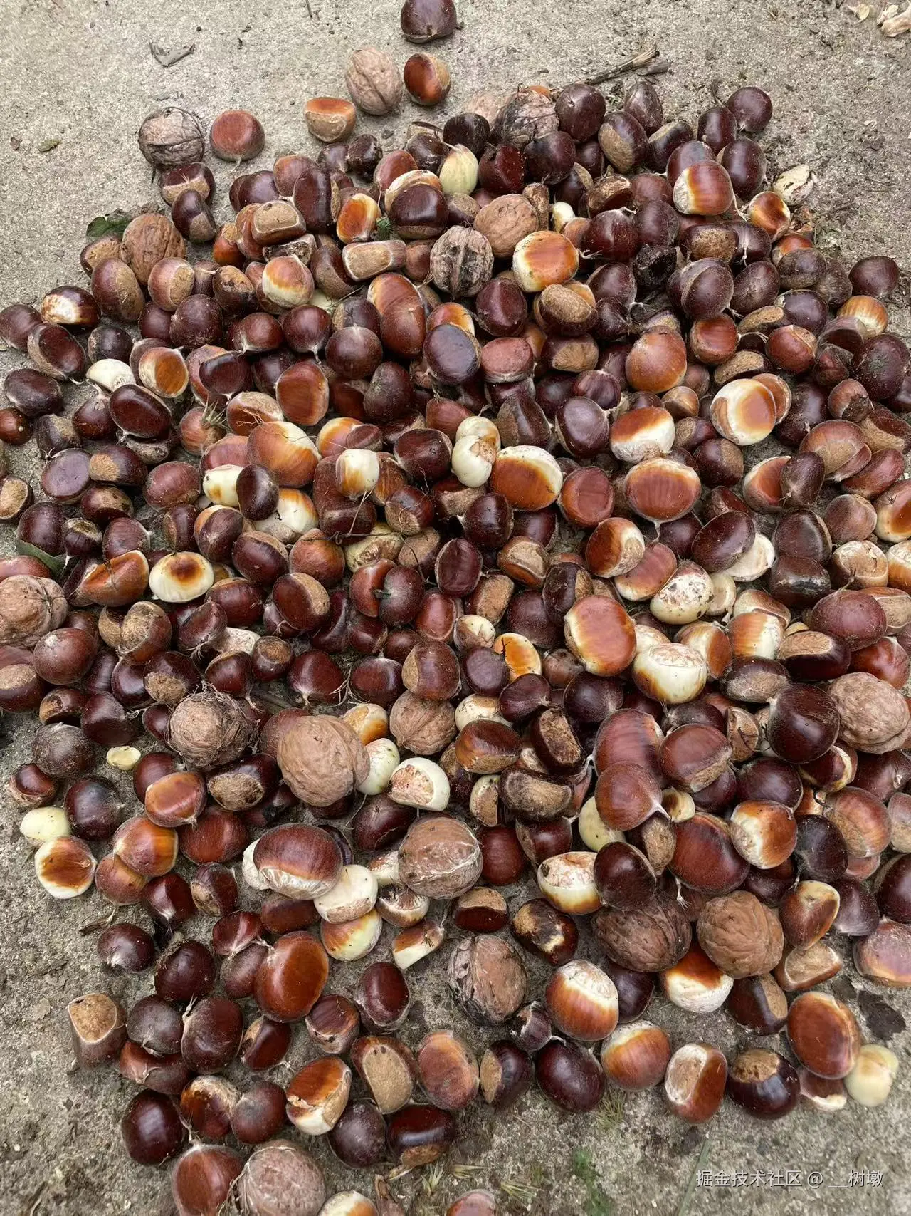 __树墩于2025-09-15 10:02发布的图片