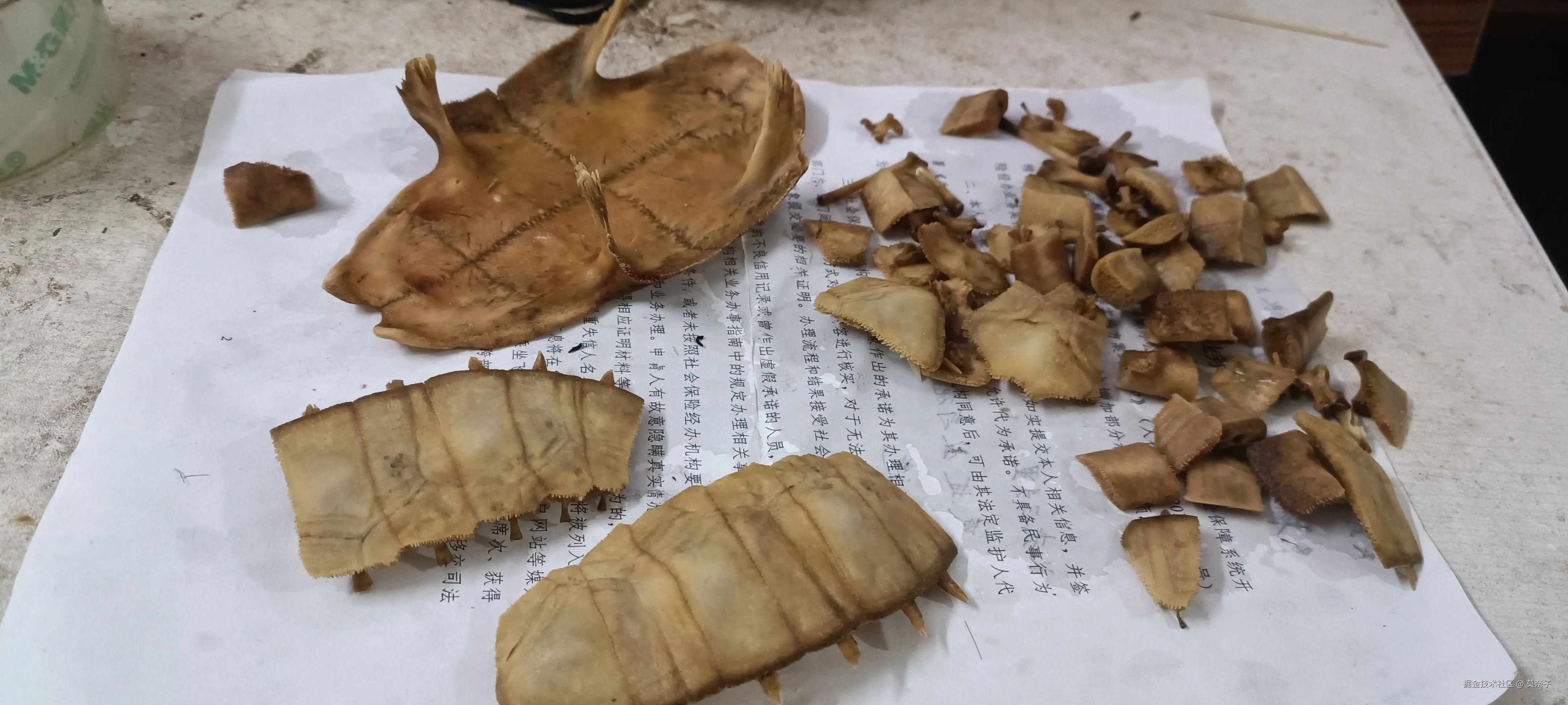 莫奈子于2025-07-15 22:52发布的图片