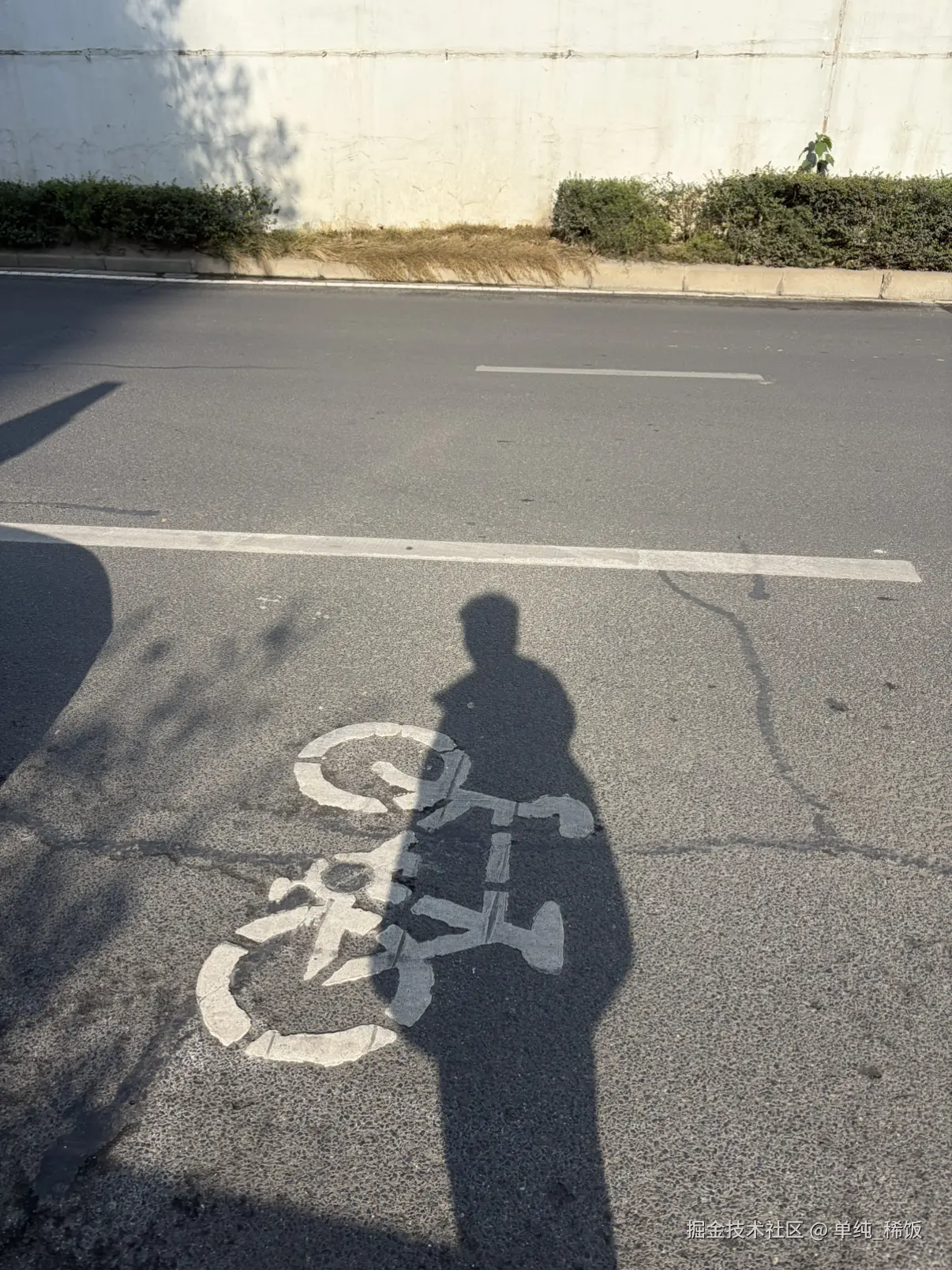 单纯_稀饭于2026-03-20 09:18发布的图片