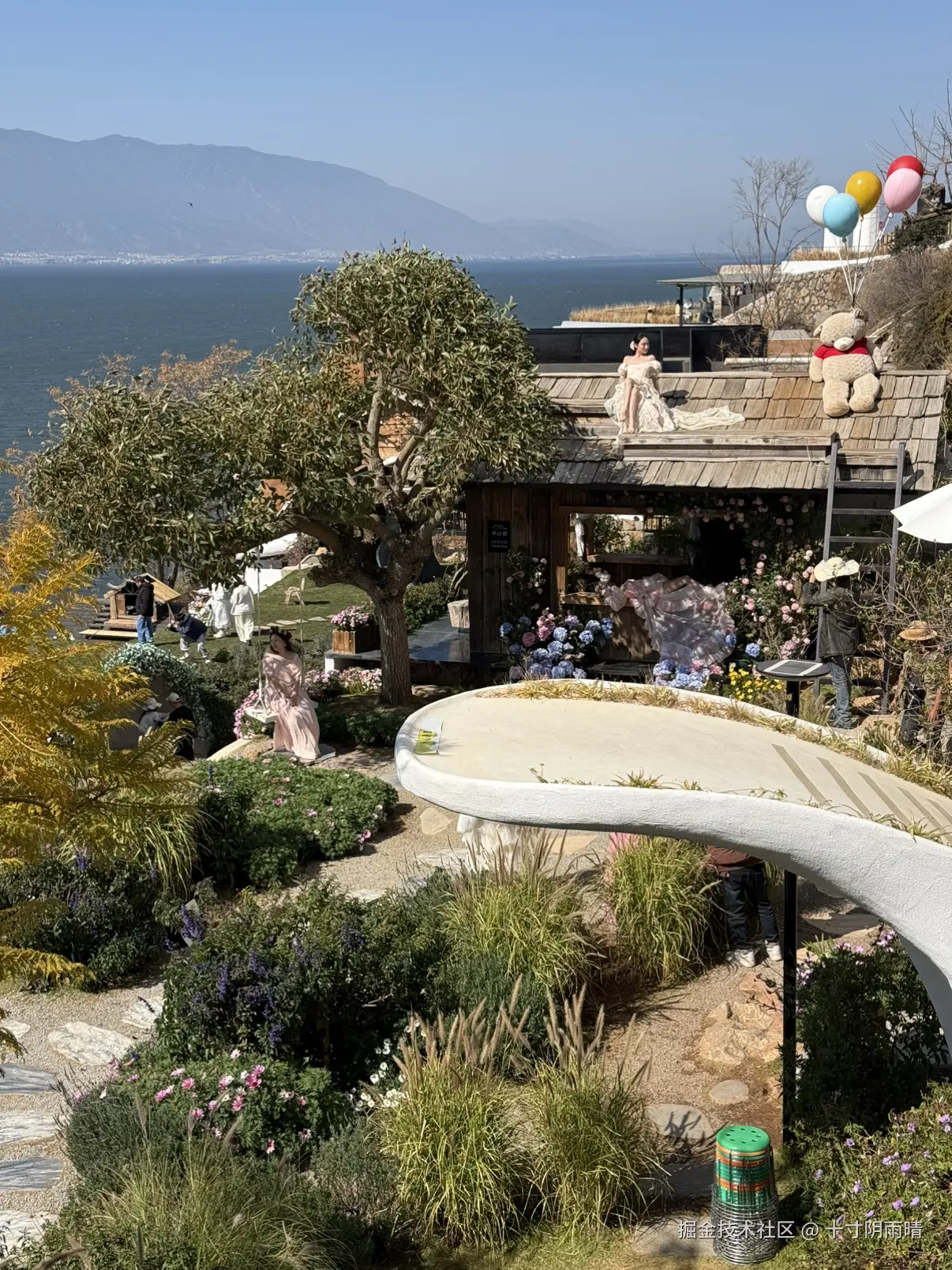 十寸阴雨晴于2026-01-26 14:57发布的图片