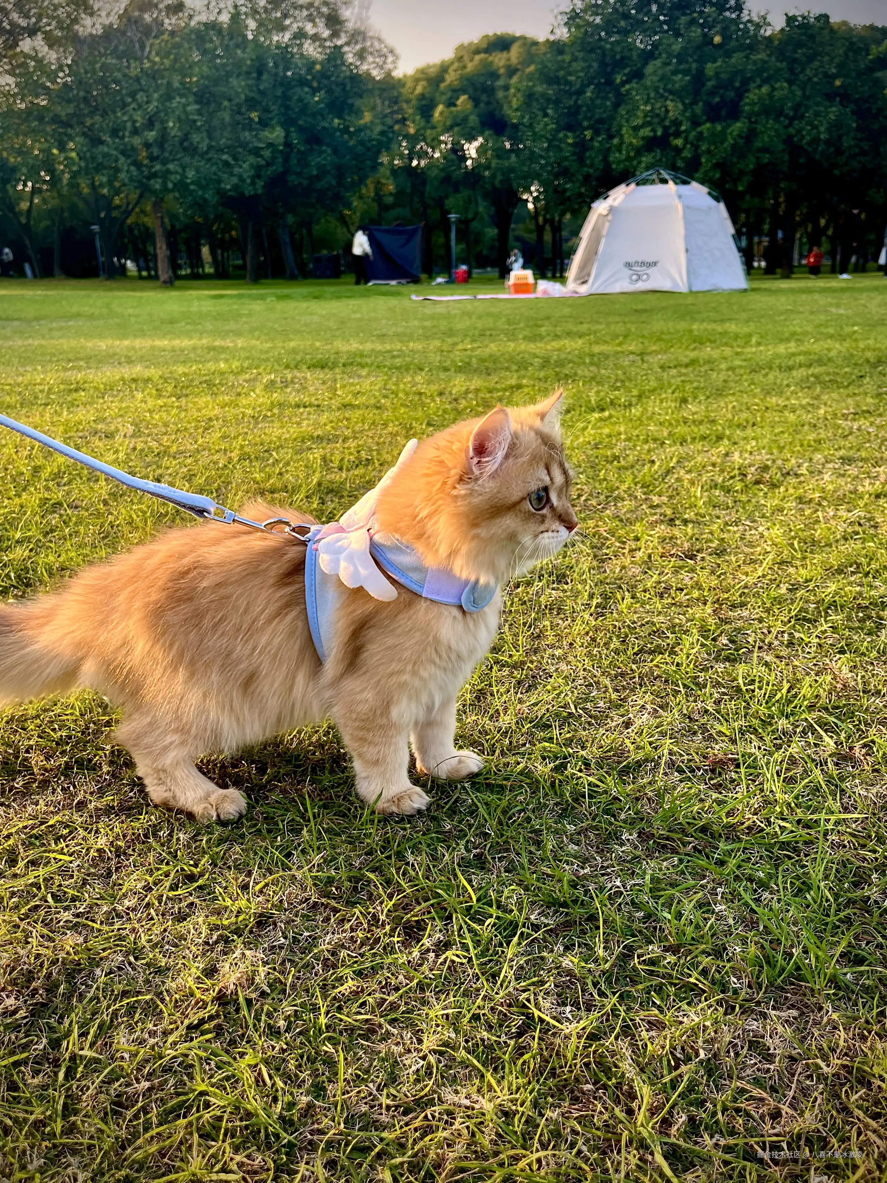 八喜不是冰激凌于2024-11-26 13:42发布的图片