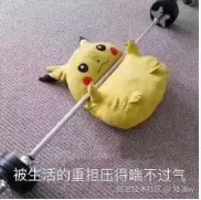 矮油w于2024-09-04 09:12发布的图片