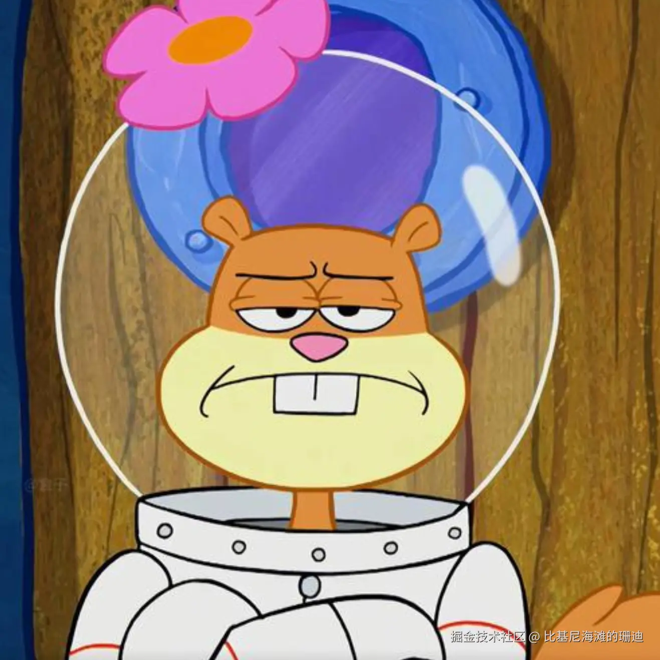 比基尼海滩的珊迪于2026-04-14 16:38发布的图片