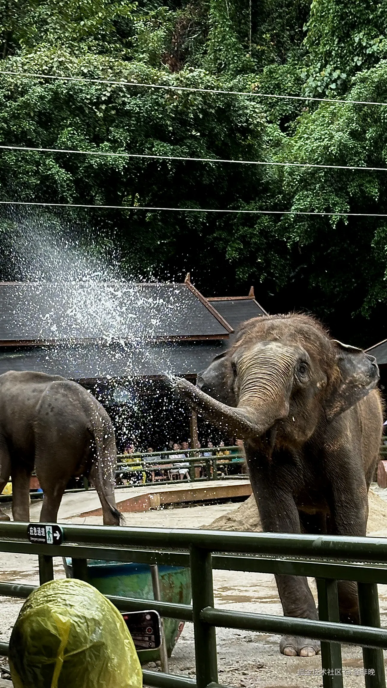 徐非晚于2024-12-03 06:37发布的图片