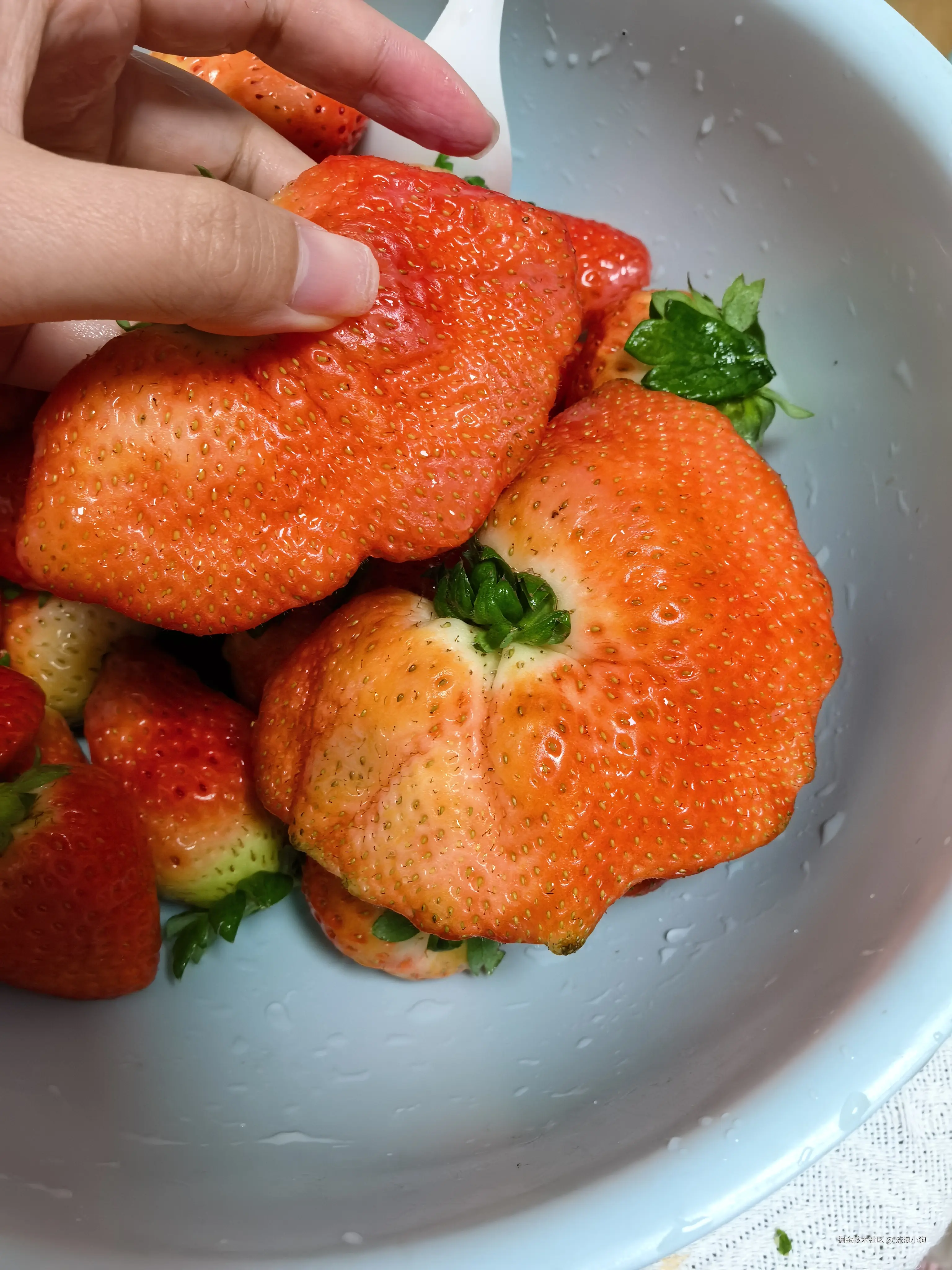 流浪小狗于2025-01-15 10:36发布的图片